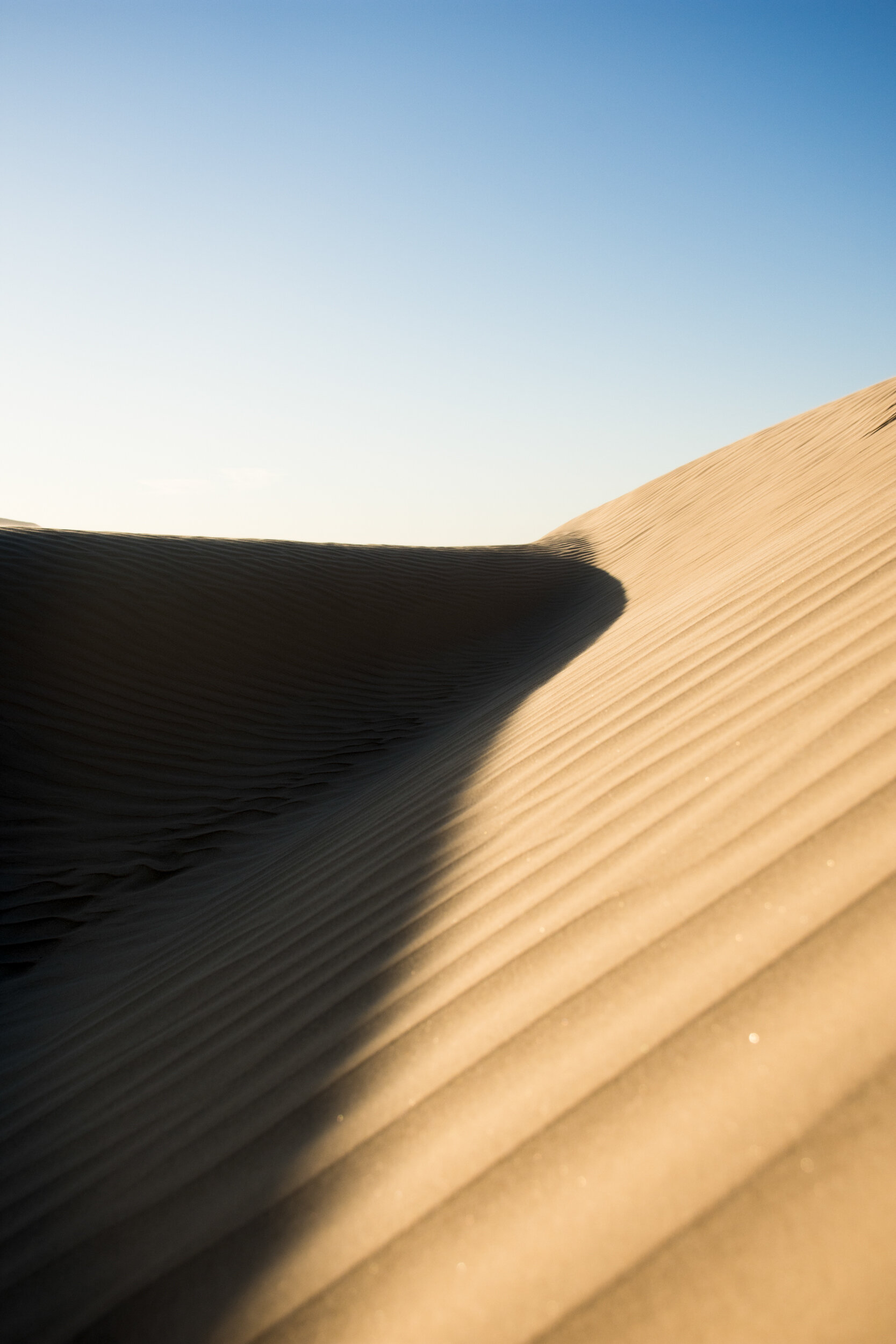 20201205-DSC_7201.jpg