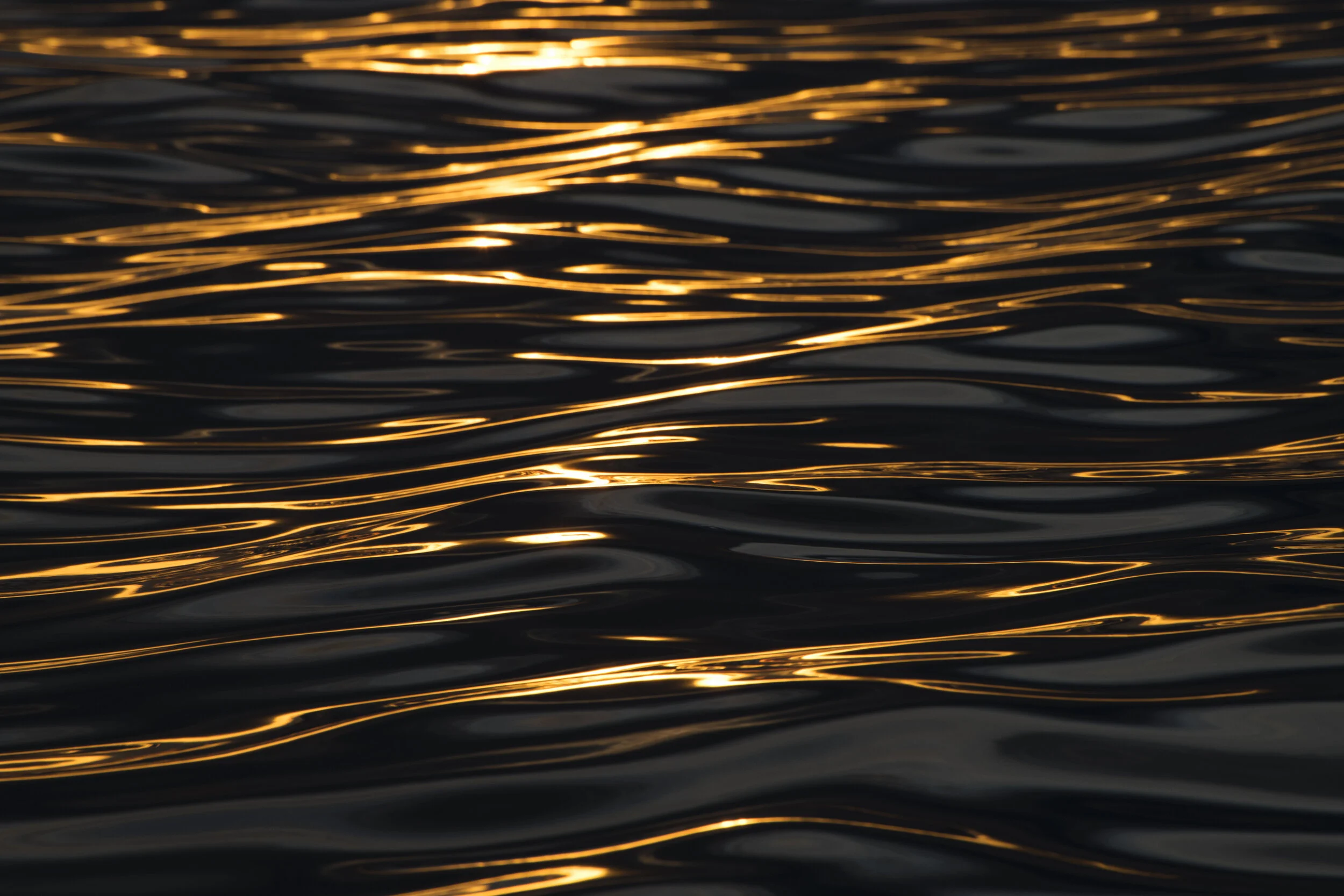 2021-01-21 17.47.29.JPG