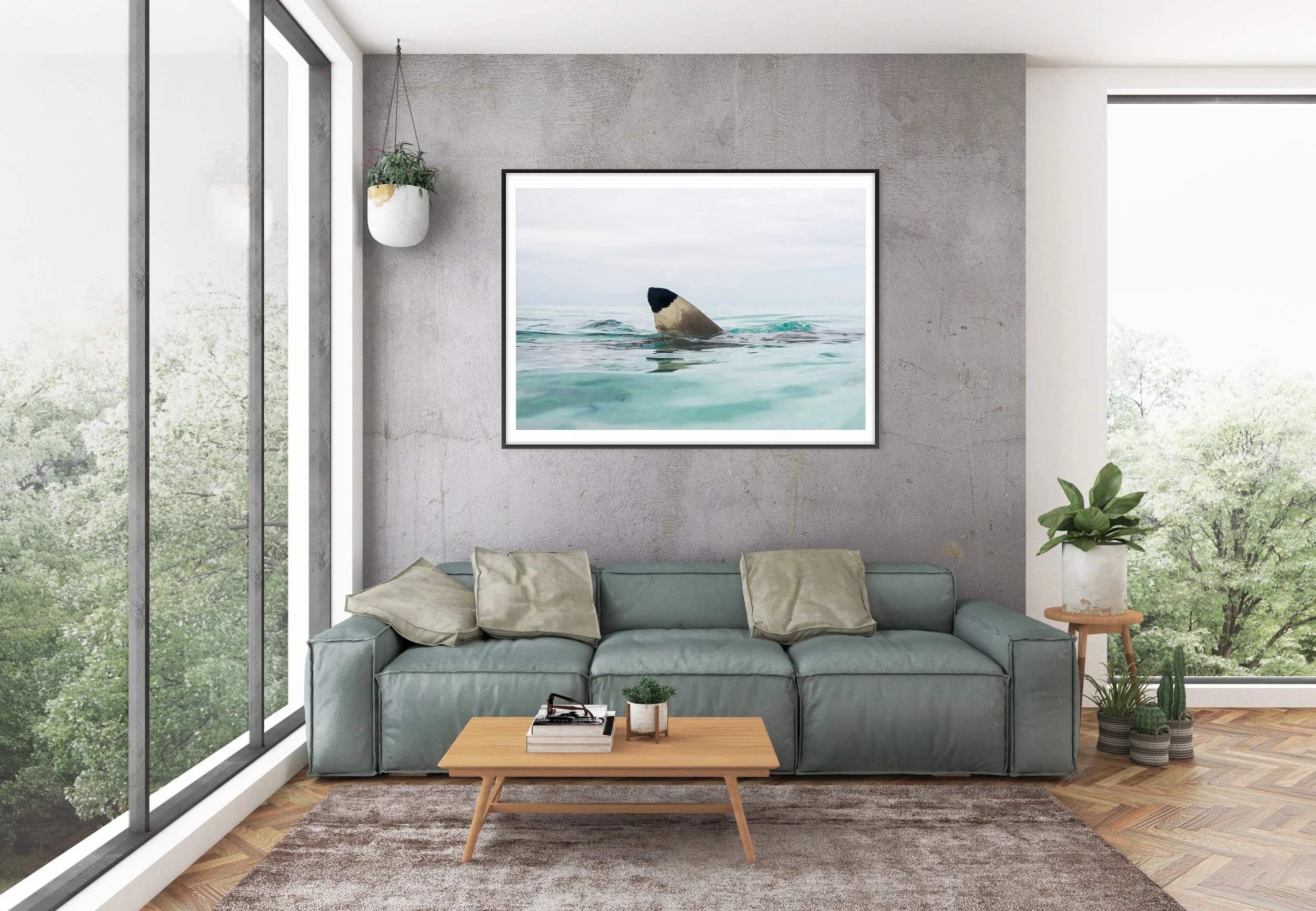 horizontal_frame_blacktip copy.jpg