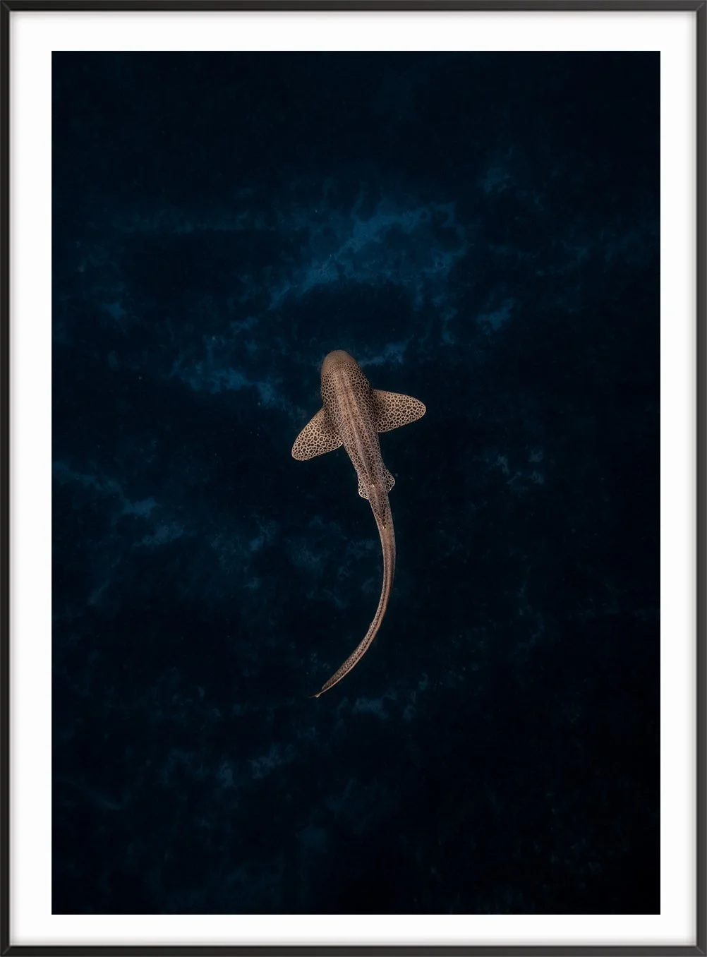 Frame_Vertical_Wanderer copy.jpg