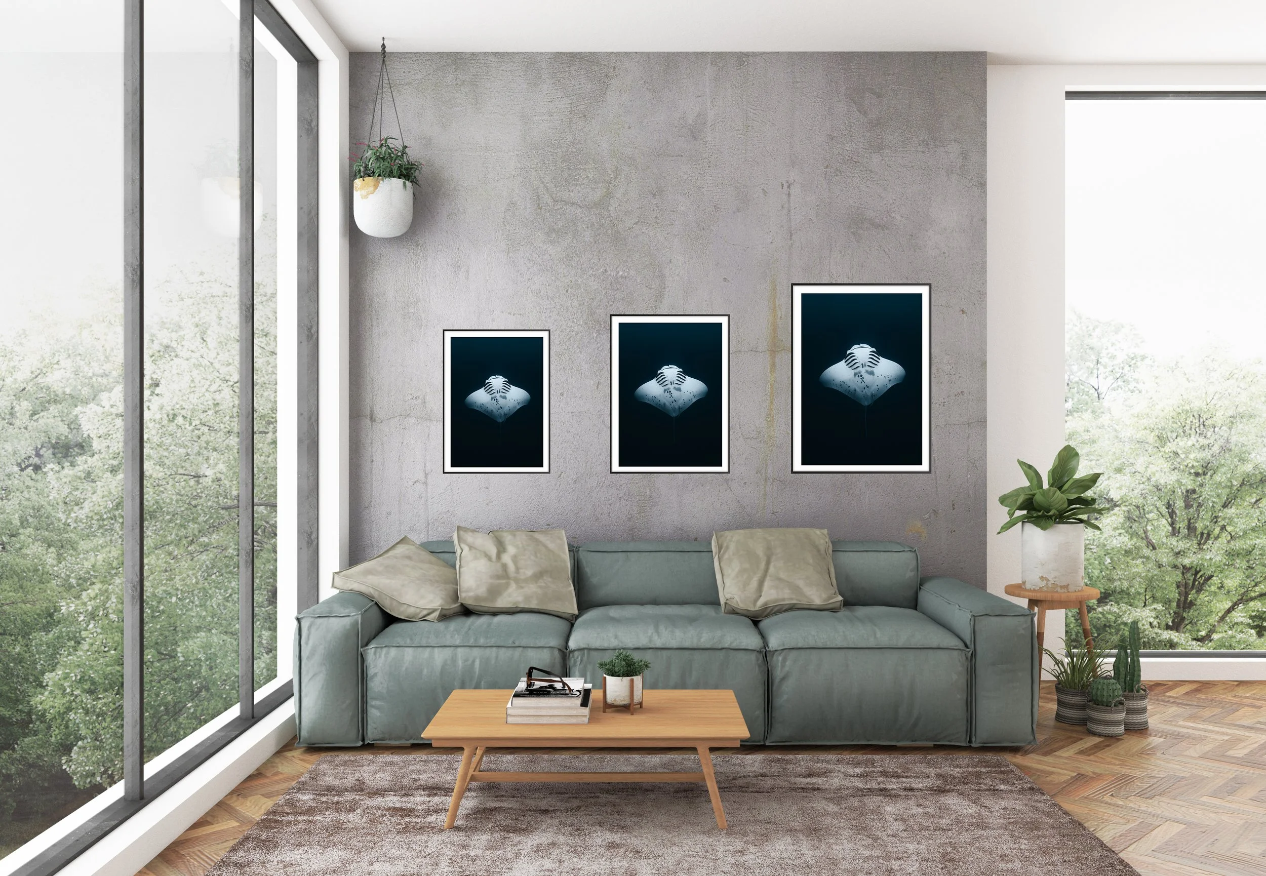 Frame_Sizes_Dance of the manta copy.jpg