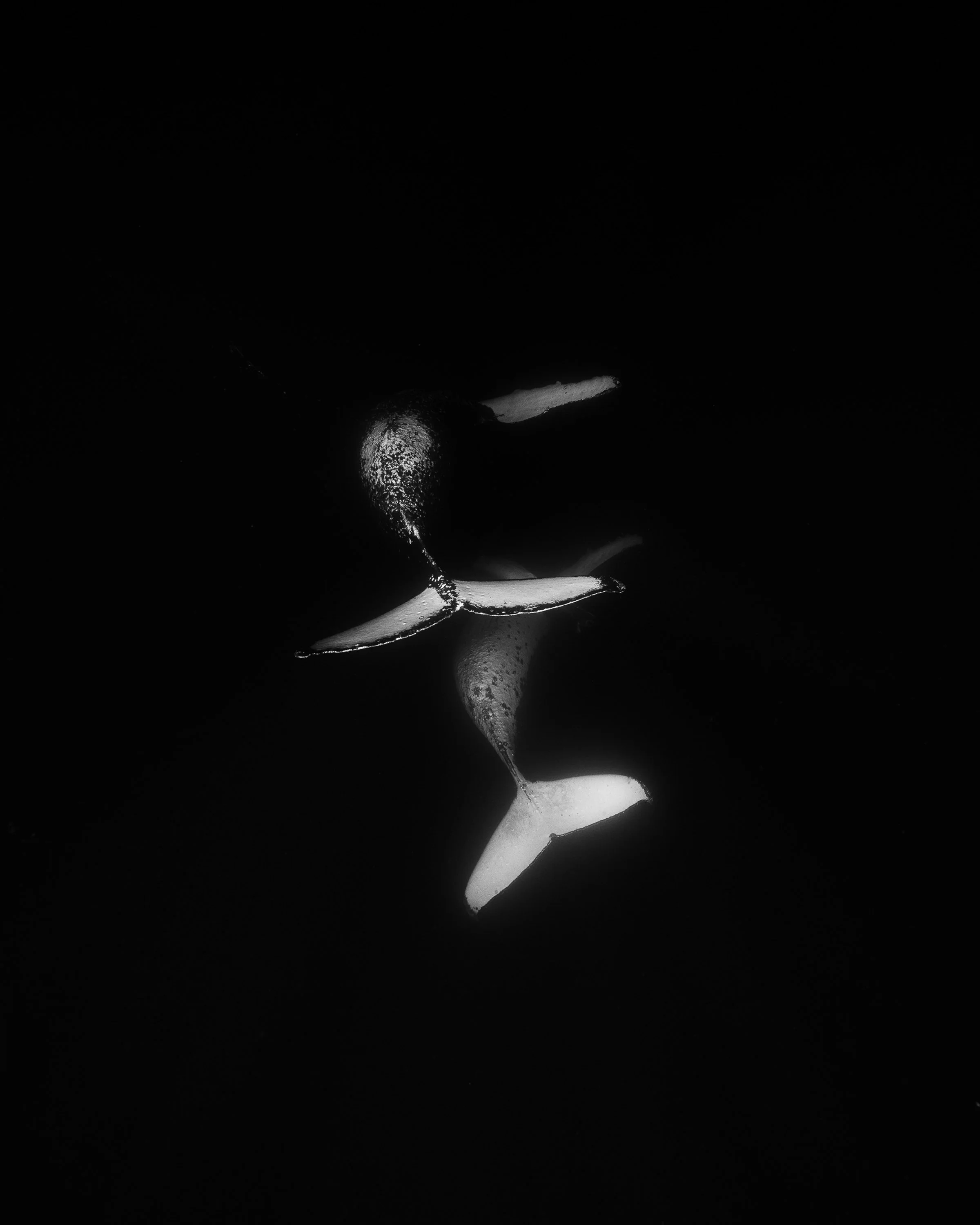 IG-19.jpg