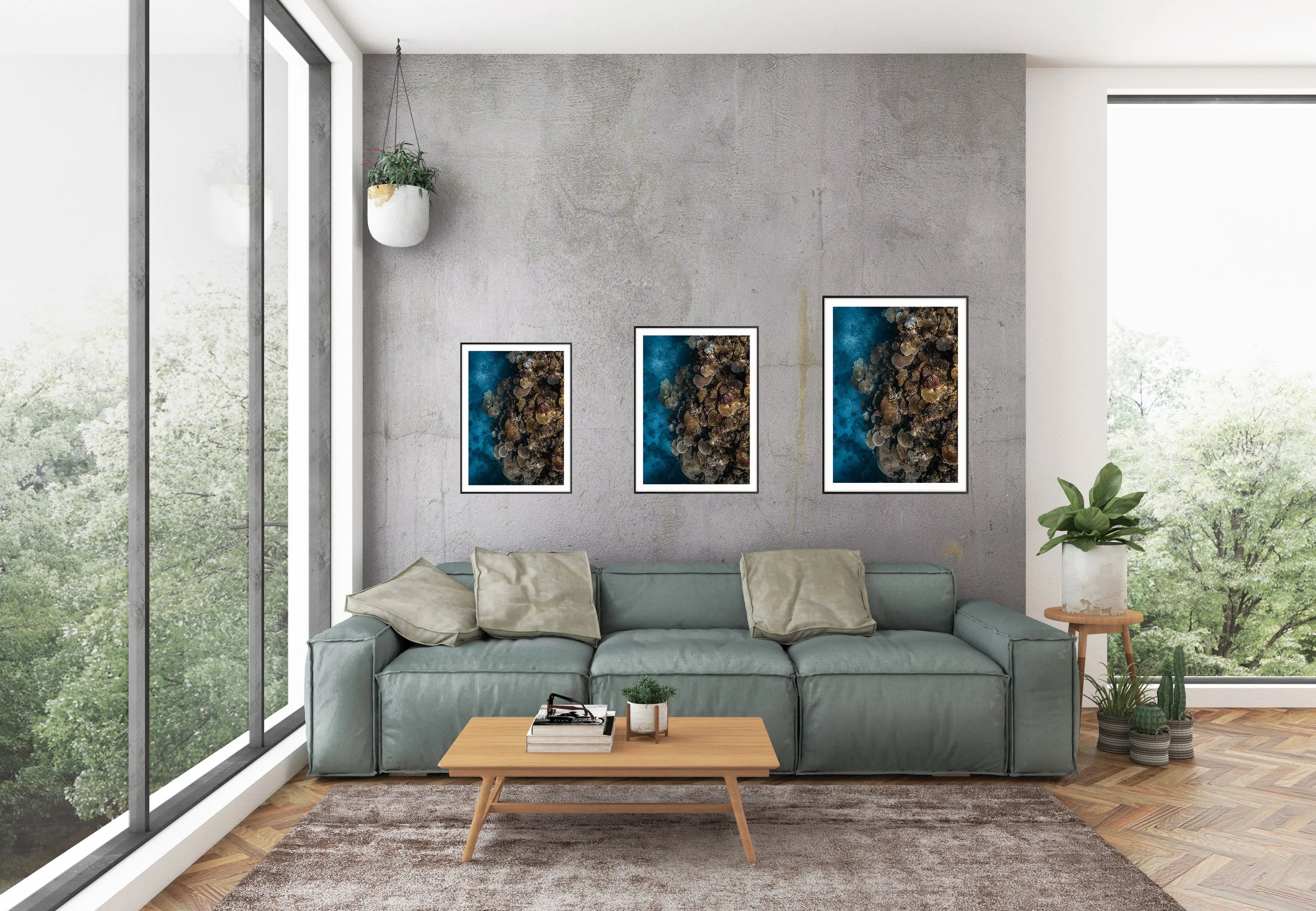 Frame_Sizes_Fiji Coral copy.jpg