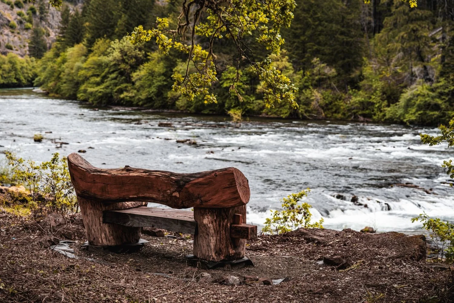 bench2.jpg