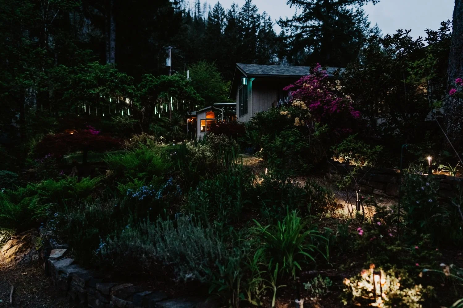 nightlights.jpg