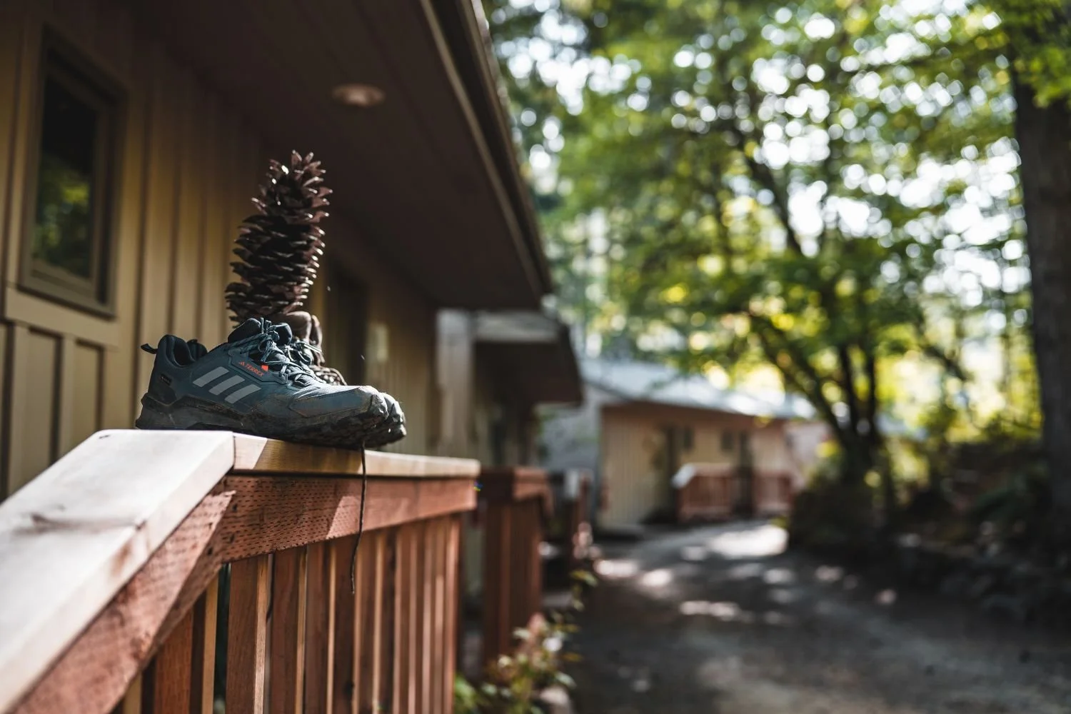 cabins.jpg