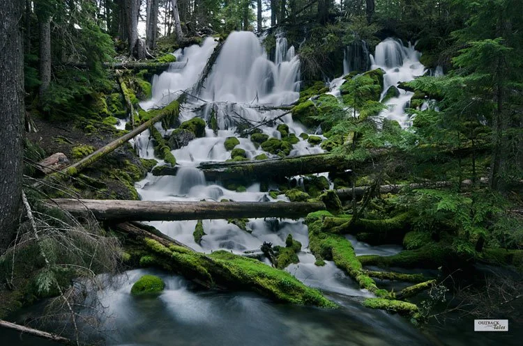 clearwater-falls.jpg