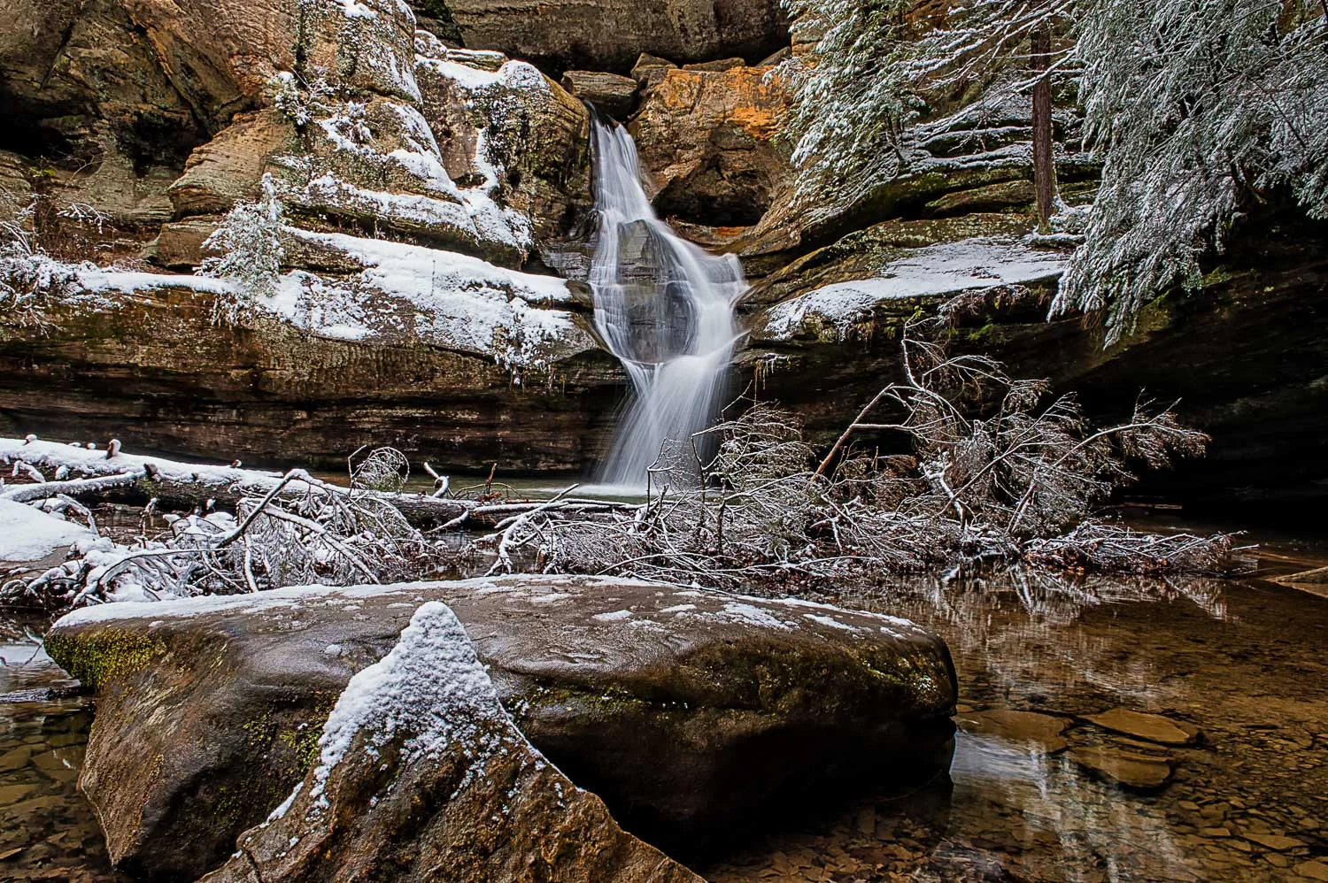 Cedar121229_0012w.jpg