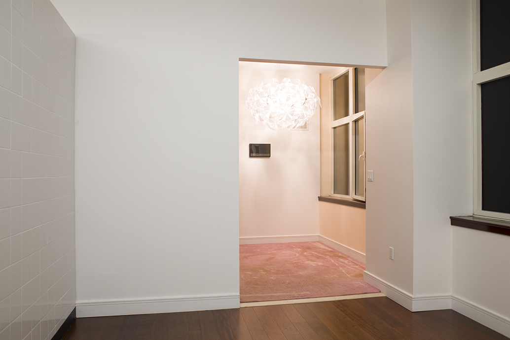 Daniel Klaas Beckwith rosie path; magick carpet , 2015 carpet, Teflon Advanced Carpet Protector, spills, stains, cleaning product dimensions variable view 1