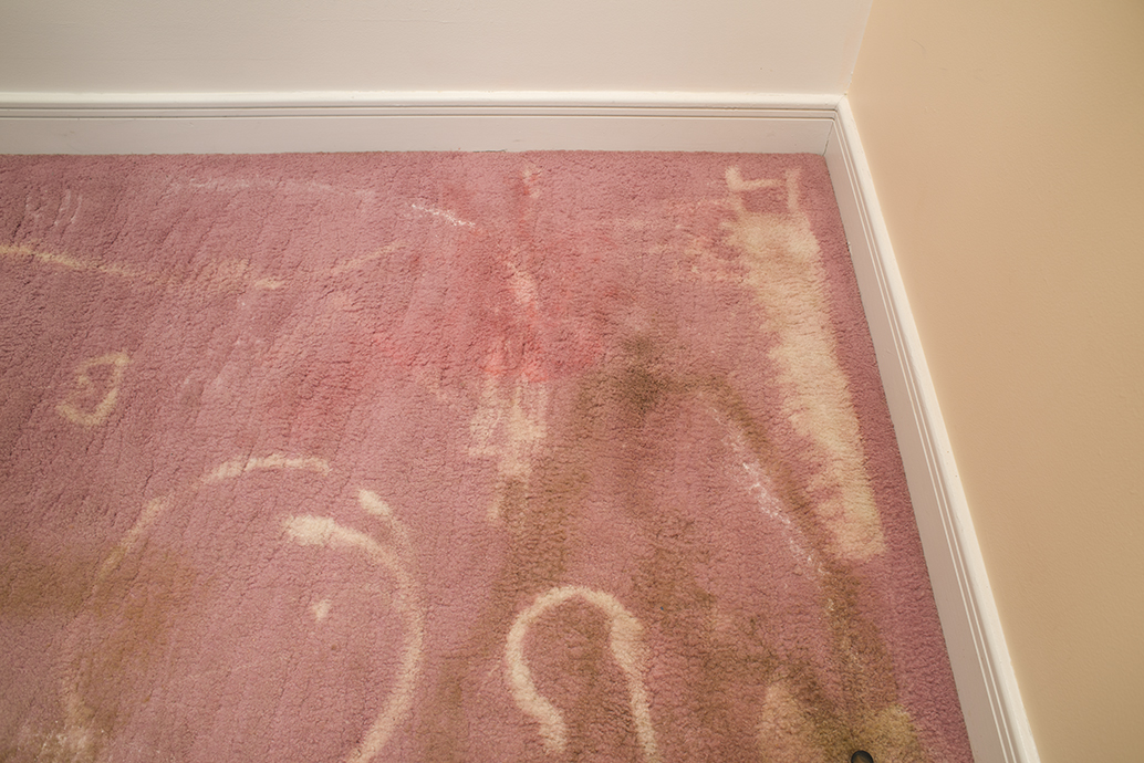 Daniel Klaas Beckwith rosie path; magick carpet , 2015 carpet, Teflon Advanced Carpet Protector, spills, stains, cleaning product dimensions variable view 2
