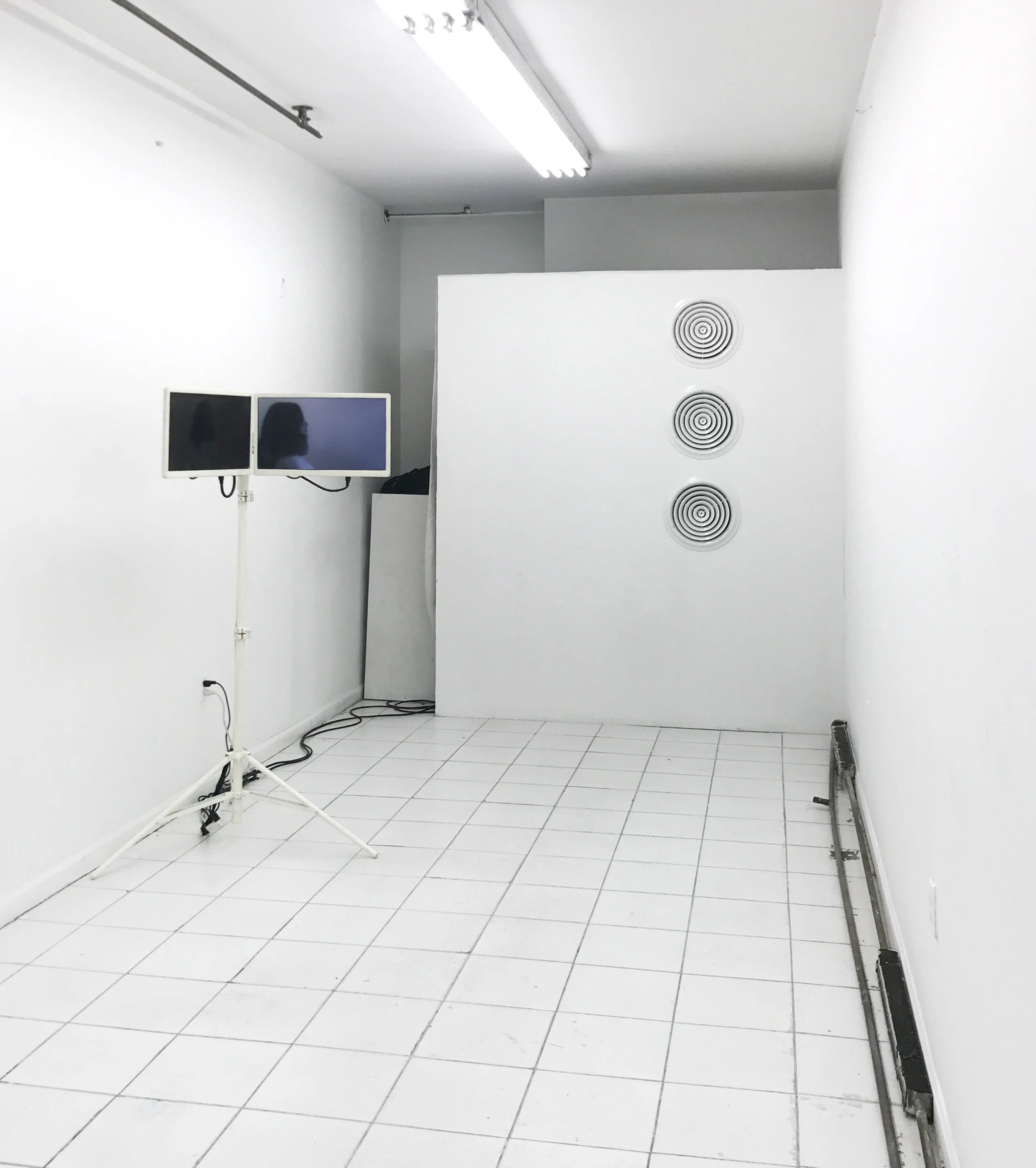 Sean Donovan, Richard Vivenzio 1-800 installation view