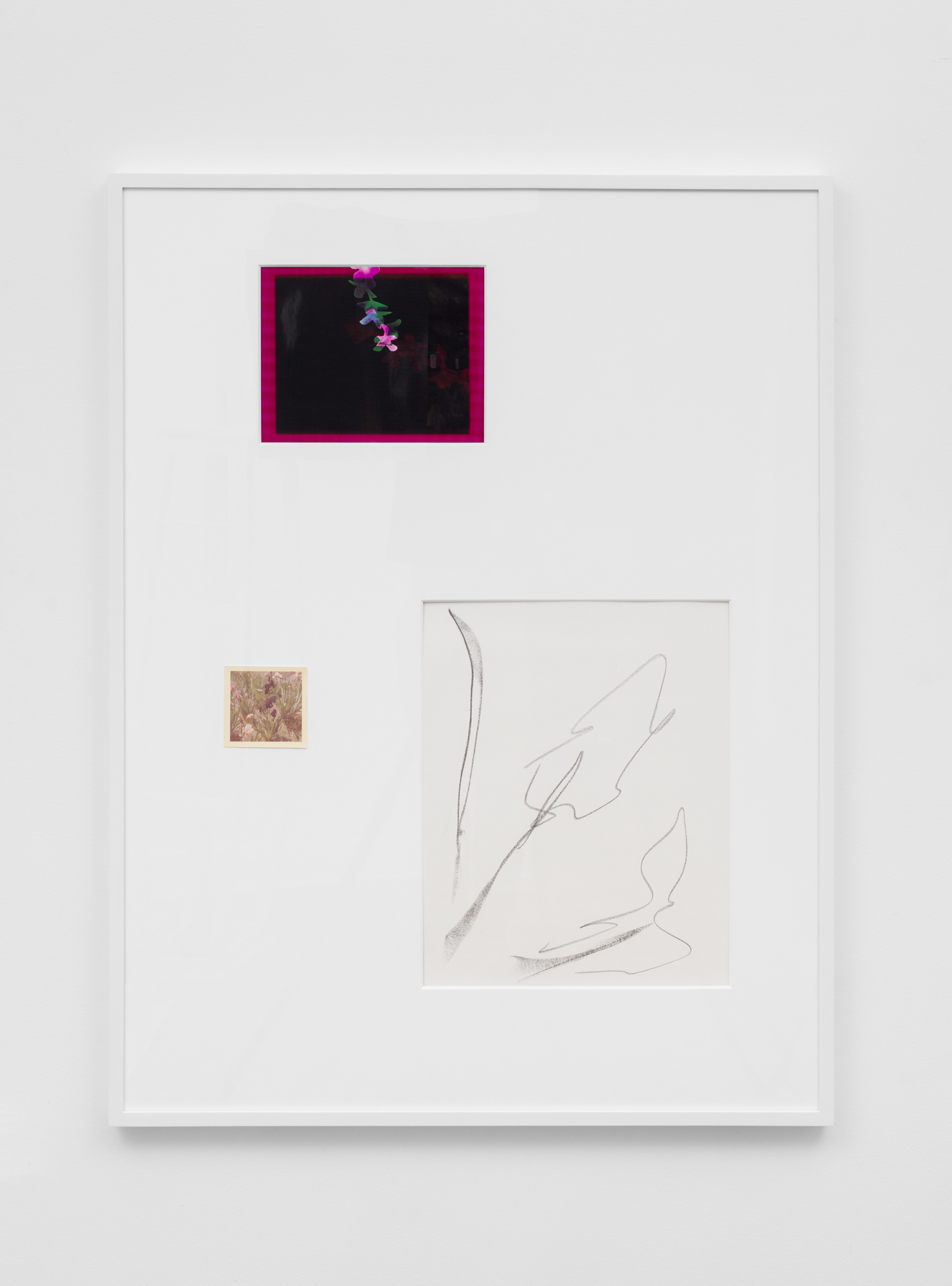  Connor McNicholas  Field Guide , 2017 Found polaroid, graphite on paper, photogram, wood frame, plexiglass, paint 40 x 30 inches (102 x 76 cm) CM5   