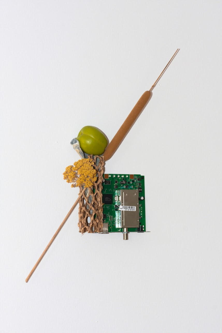  Connor McNicholas  CONFIG.SYS , 2019 Wood, ceramic, circuit board, flowers, shell, paint, hardware 8 x 19 inches (20 x 48 cm) CM11 