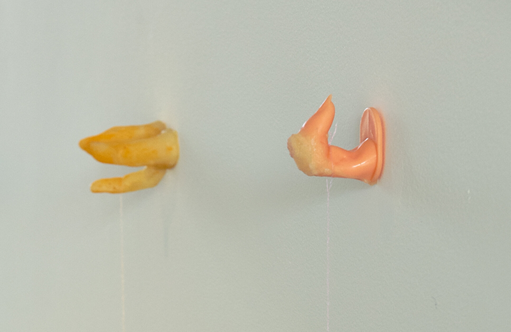  Lauren Lee  Untitled , 2019 (detail) Thirteen Customized car fresheners, plastic manicure practice finger, thread,  fish hook, paraffin wax, blend of essential Oils: "Puppy Paws," "Basement" and "Dusty Carpet" 18 x 3.3 ’x 3 inches (46 x 8 x 8 cm) ap