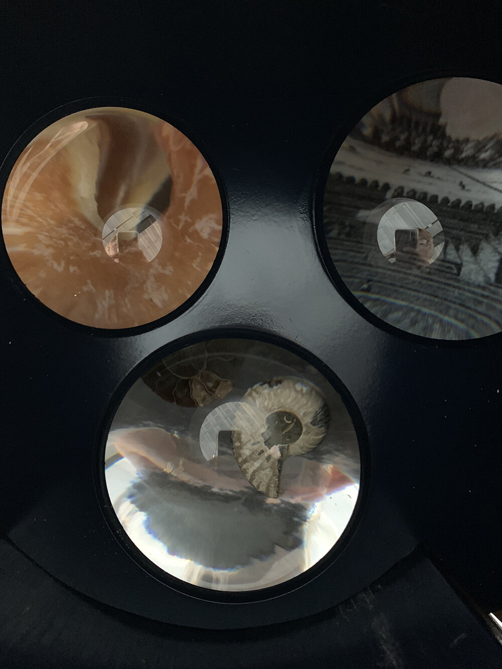  Randi Renate  allocentric aperture , 2019 (apeture detail) vinyl, steel, lacquered hardwood, condenser lenses, ammonite pair, ‘Veue du Labirinthe’, glazed donut, hardware 91 x 130 x 130 inches (230 x 330 x 330 cm) 