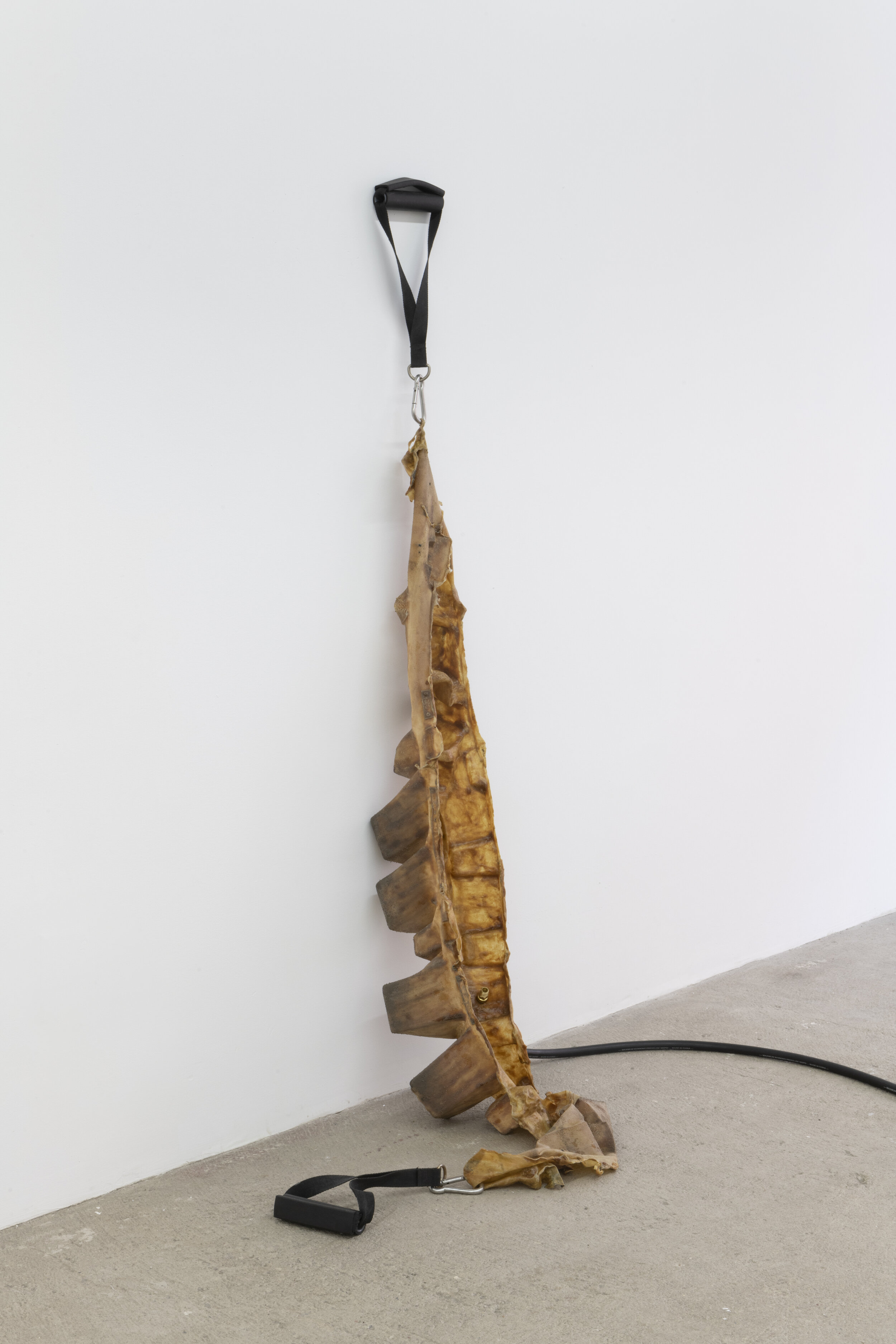  Vladislav Markov  Untitled , 2020 vulcanized rubber, gym straps, hose, carabiner clip, air hoses, compressor 60 x 19 x 25 inches (152 x 48 x 64 cm) VM20 