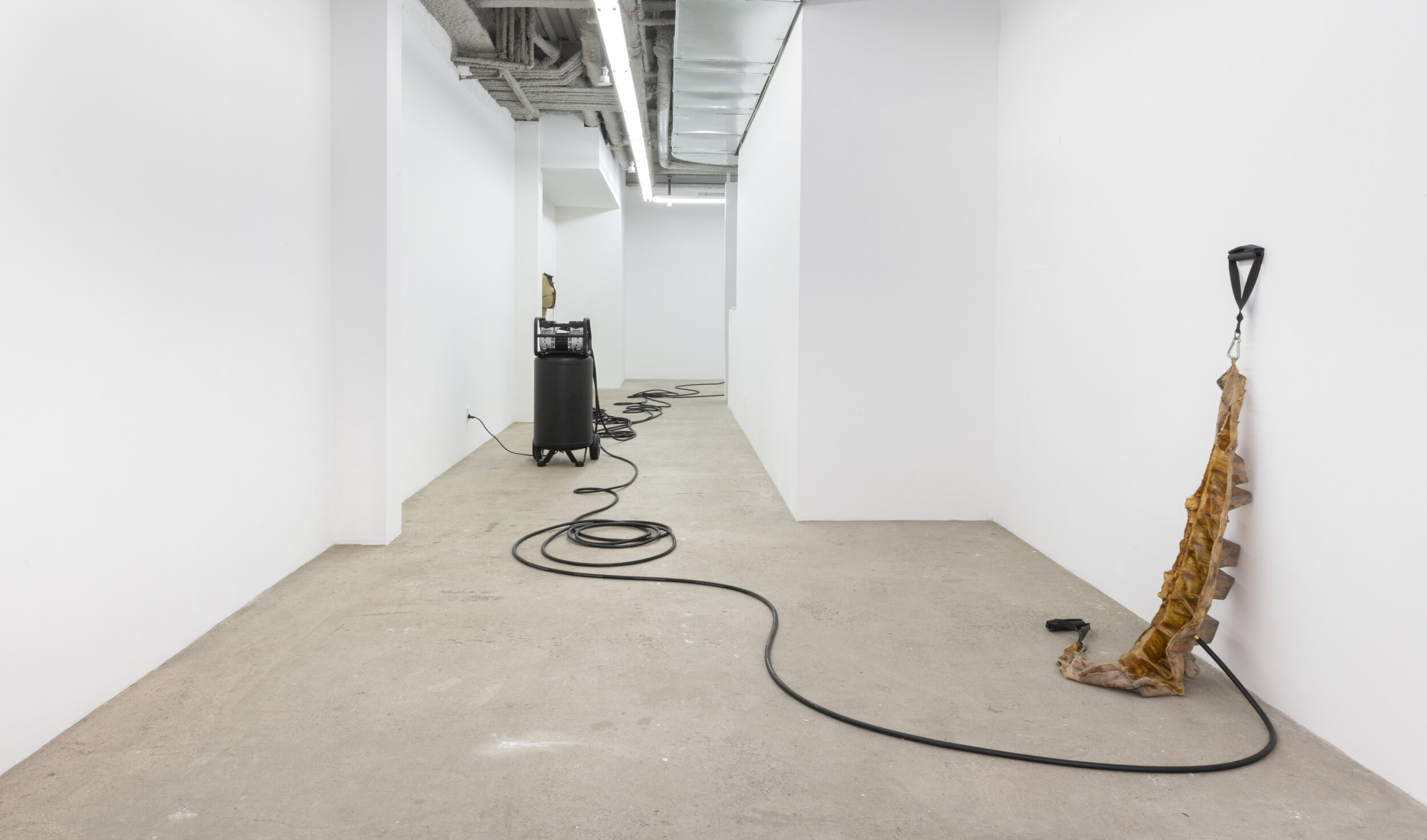   Vladislav Markov  installation view 