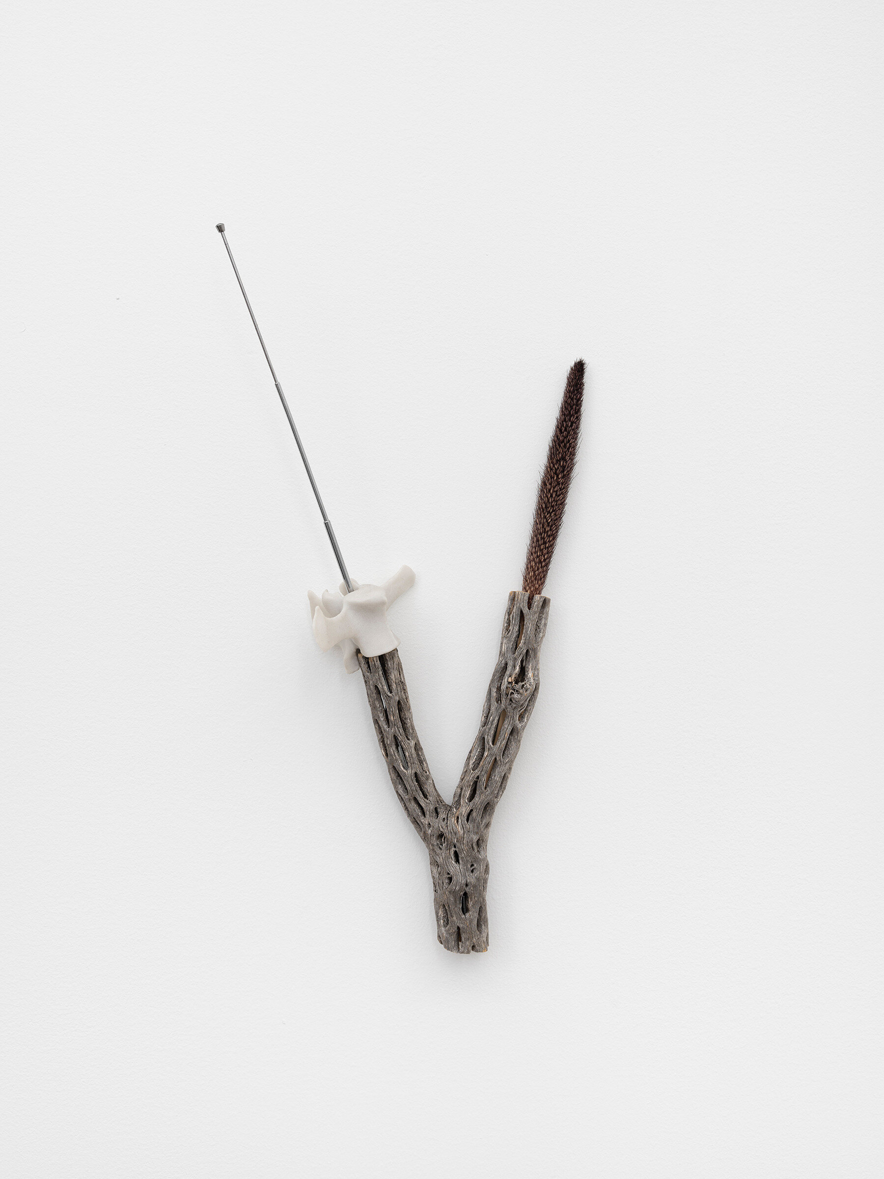  Connor McNicholas  The Many Pieces as Ever , 2020 Polyamide, SD card, wood, pearl millet, antenna, hardware  16 x 8 inches (41 x 20 cm) 