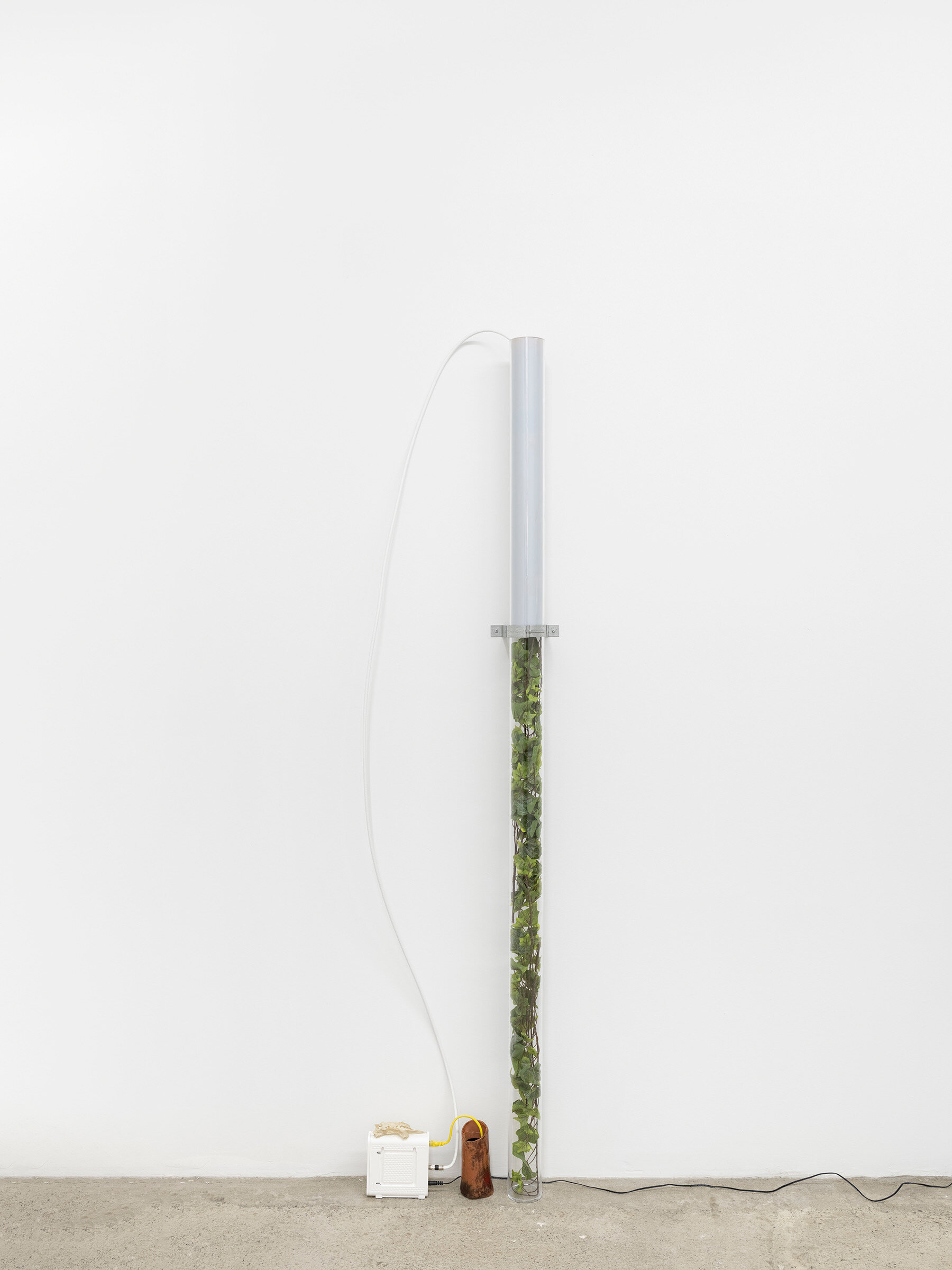  Connor McNicholas  Phase Transition,  2020 Plexiglass, unprocessed photographic paper, artificial ivy,  ceramic, water, endoskeleton, modem, cables, hardware 72x10 inches (183x25cm) 