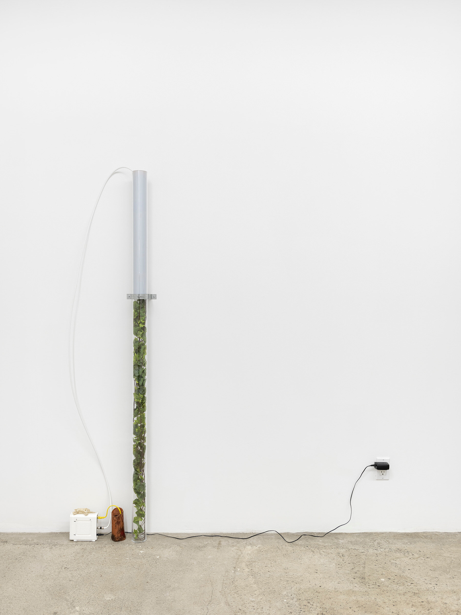  Connor McNicholas  Phase Transition,  2020 Plexiglass, unprocessed photographic paper, artificial ivy,  ceramic, water, endoskeleton, modem, cables, hardware 72 x 10 inches (183 x 25 cm) 
