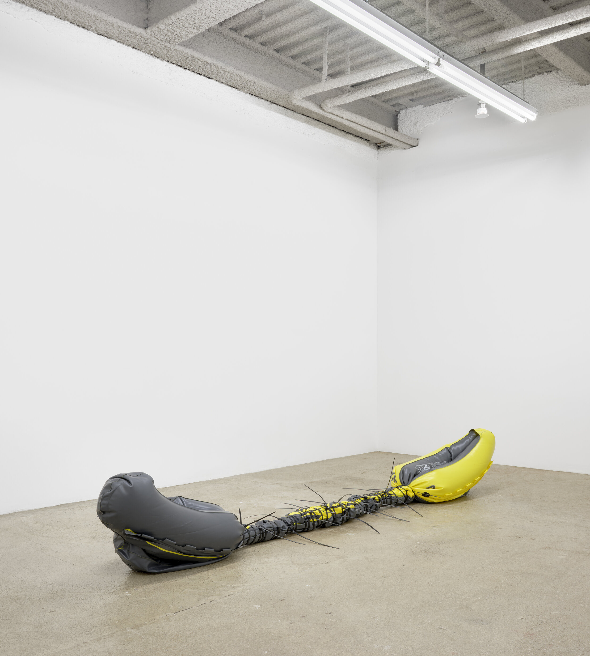  Bat-Ami Rivlin  Untitled (inflatable kayak, zip ties) , 2020  inflatable kayak, cable ties 20 x 18 x 110 inches (51 x 46 x 280 cm)&nbsp; BR6 