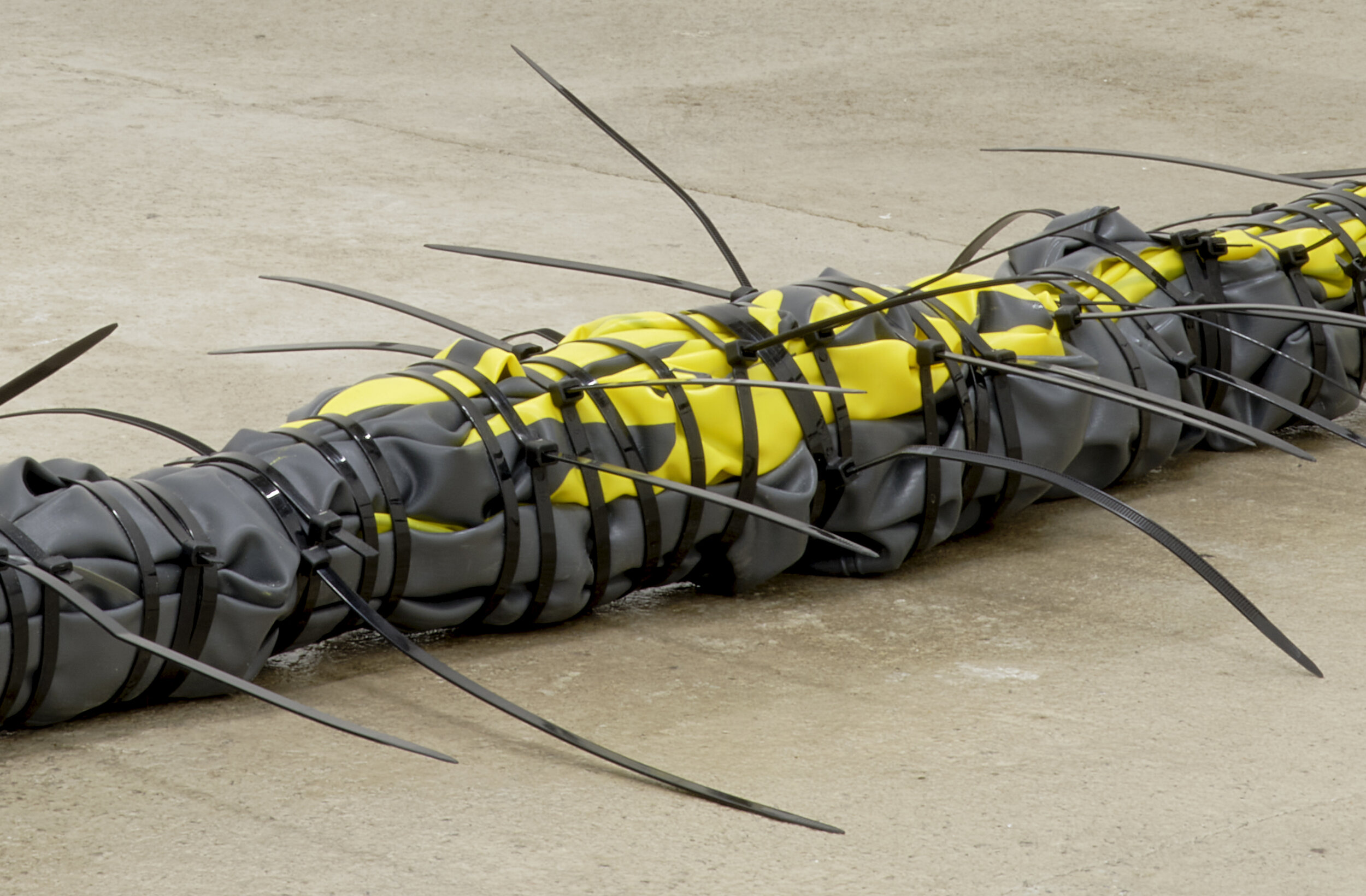  Bat-Ami Rivlin  Untitled (inflatable kayak, zip ties) , 2020 (detail) inflatable kayak, cable ties 20 x 18 x 110 inches (51 x 46 x 280 cm)&nbsp; BR6 