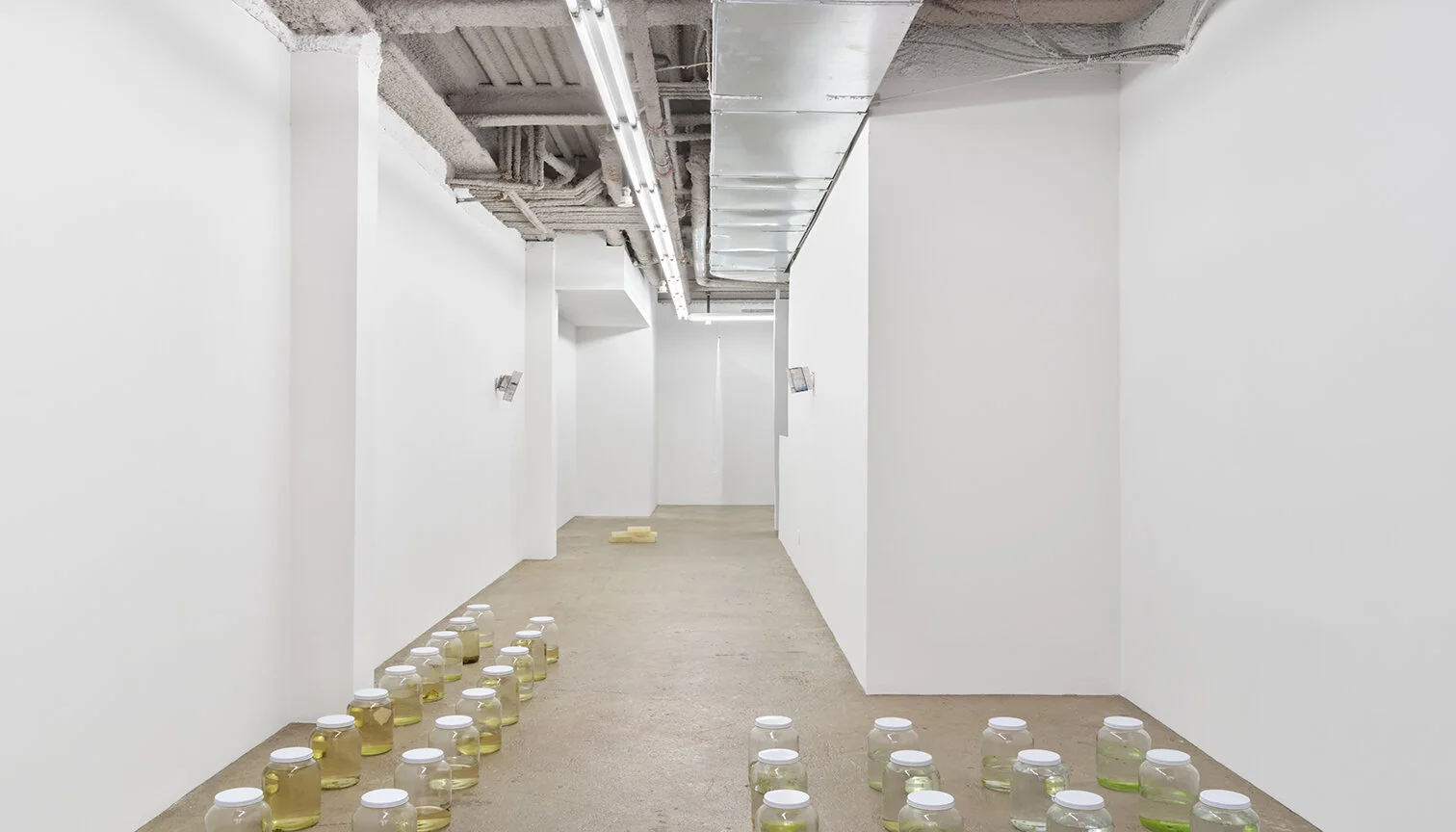  4 — Amina Ross, Chadwick Rantanen, Sean Donovan Installation view 