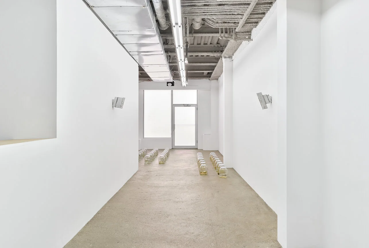  4 — Amina Ross, Chadwick Rantanen, Sean Donovan Installation view 