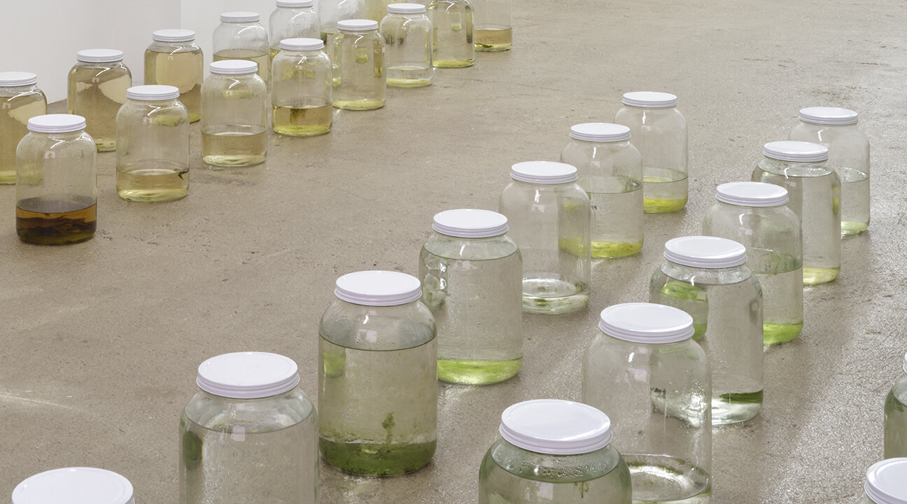  Amina Ross  Untitled , 2020 - ongoing (detail) 45 one gallon glass jars, rain gutter water size variable to installation AR1, AR2-AR46 