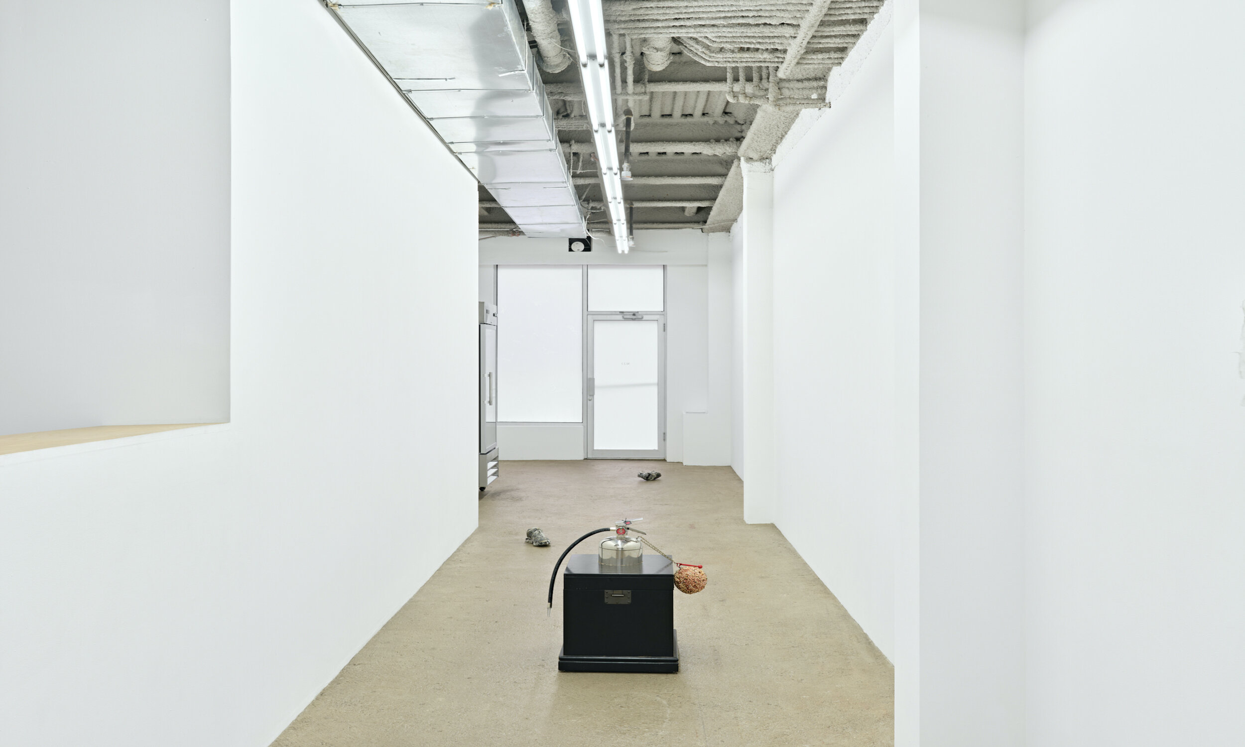   Arcadian Feedback , installation view 