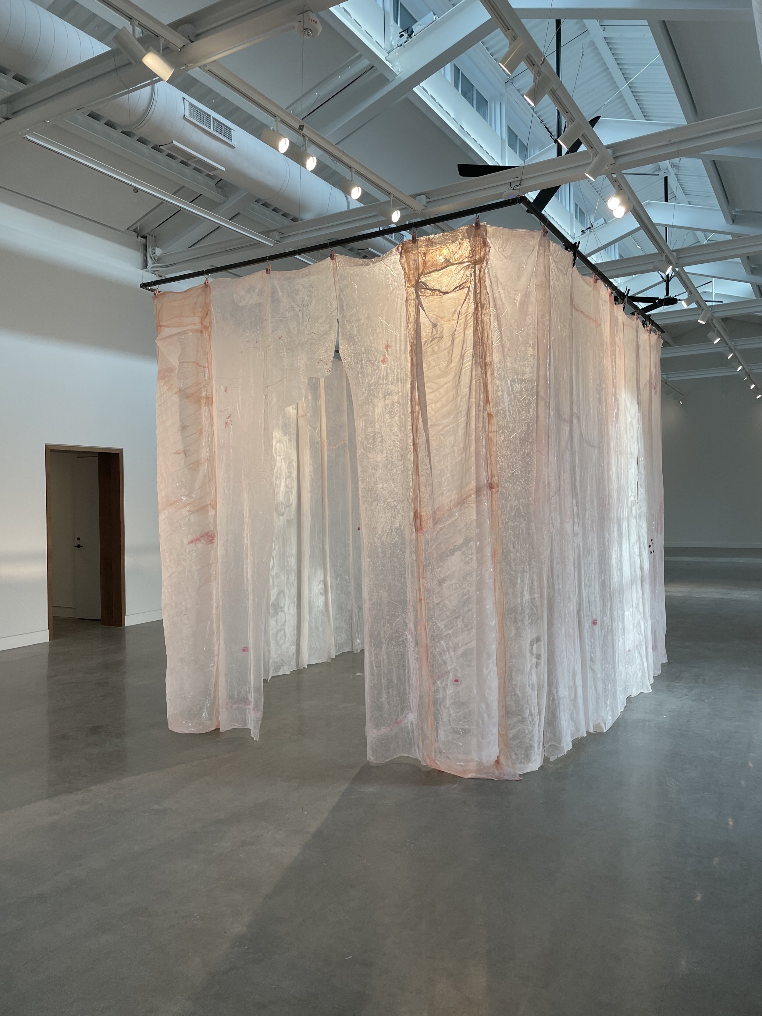  Karinne Smith  Pinky II , 2021  collagen film, flesh clamps, found bees, falsies, silicone, hair ties, baby powder, glass beads, found photograph, tulle dimensions variable to installation Installation view from ArtYard's inaugural exhibition  Girl 