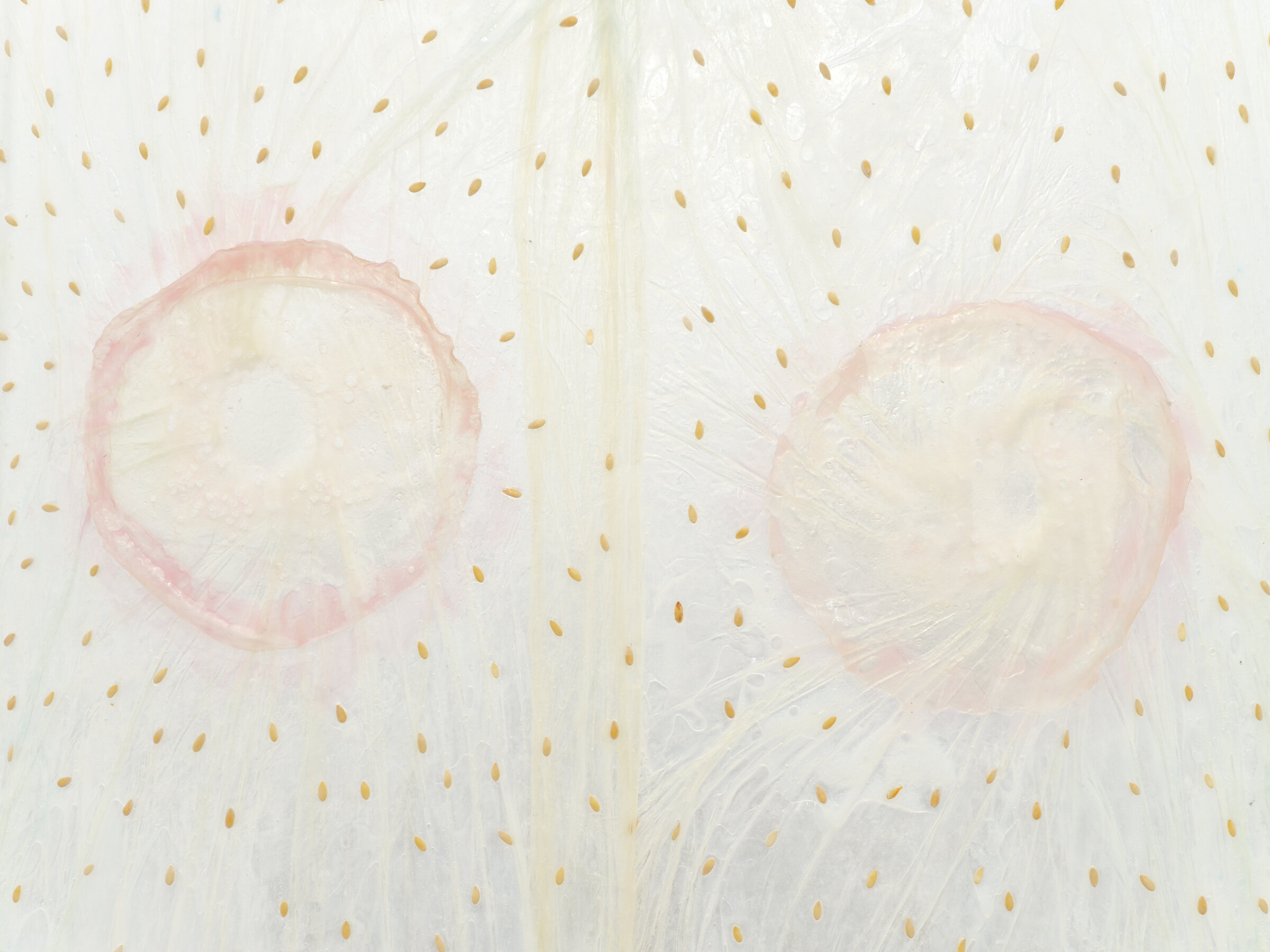  Karinne Smith  Longburger , 2021 (detail) collagen dyed with soda, melon seeds, baby powder, agar agar,  glycerin, sprinkles, silicone, clamps, cotton rope, cast plaster melons  116 x 39 x 36 inches (295 x 99 x 91 cm) (KS2) 