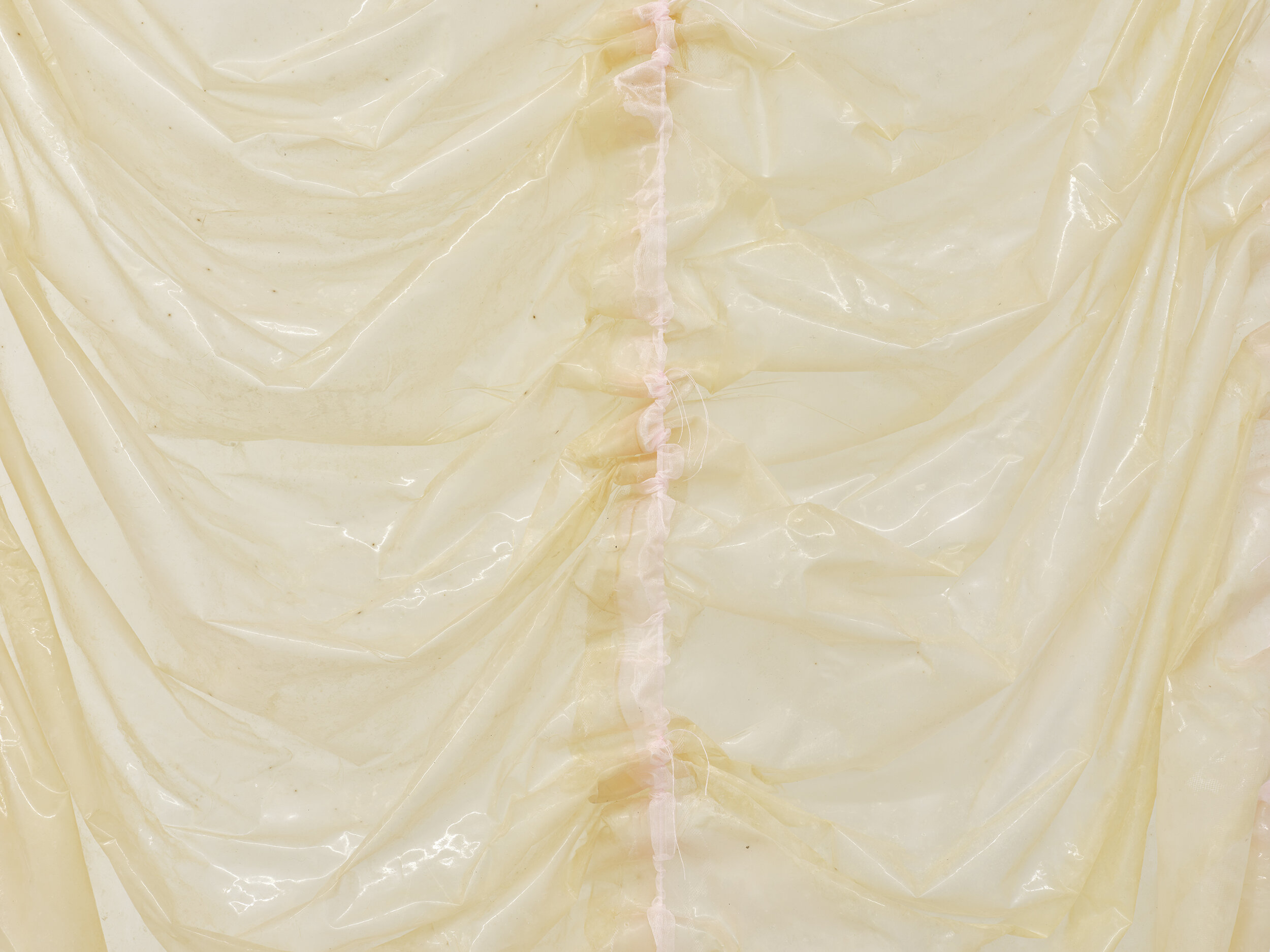  Karinne Smith  Untitled (piece of Pinkie II) , 2021 (detail) collagen dyed with soda, silicone, baby powder, ribbon,  scrotum clamps, cotton rope, cast plaster melons 124 x 52 x 36 inches (310 x 132 x 91 cm) (KS1) 