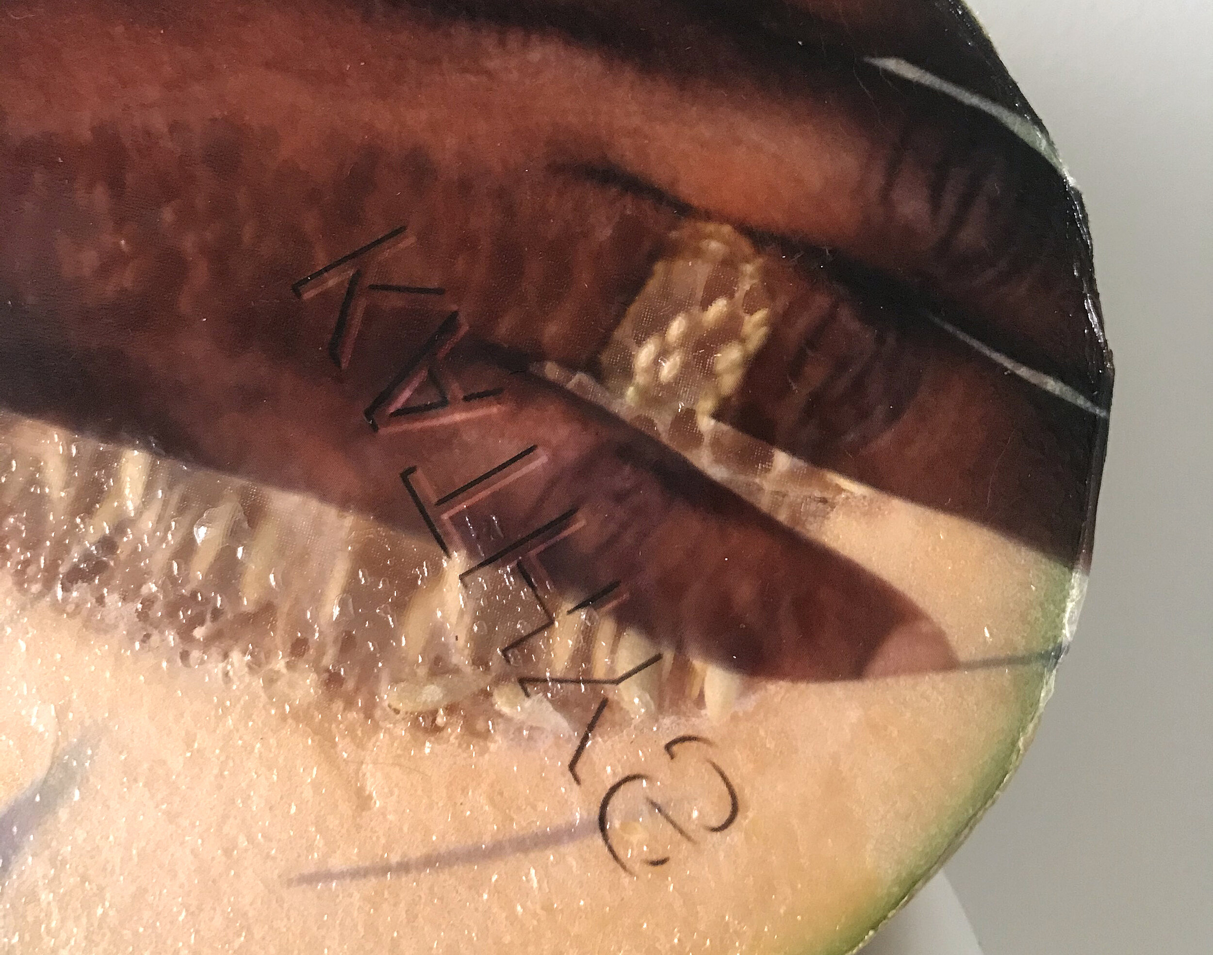 Karinne Smith  Keeper 1 , 2021 (detail; 10 September 2021) Found photograph, melon, collagen, glass beads, plaster, plexiglass, resin, hardware 29 x 20 x 8 inches (74 x 51 x 20 cm) (KS4) 