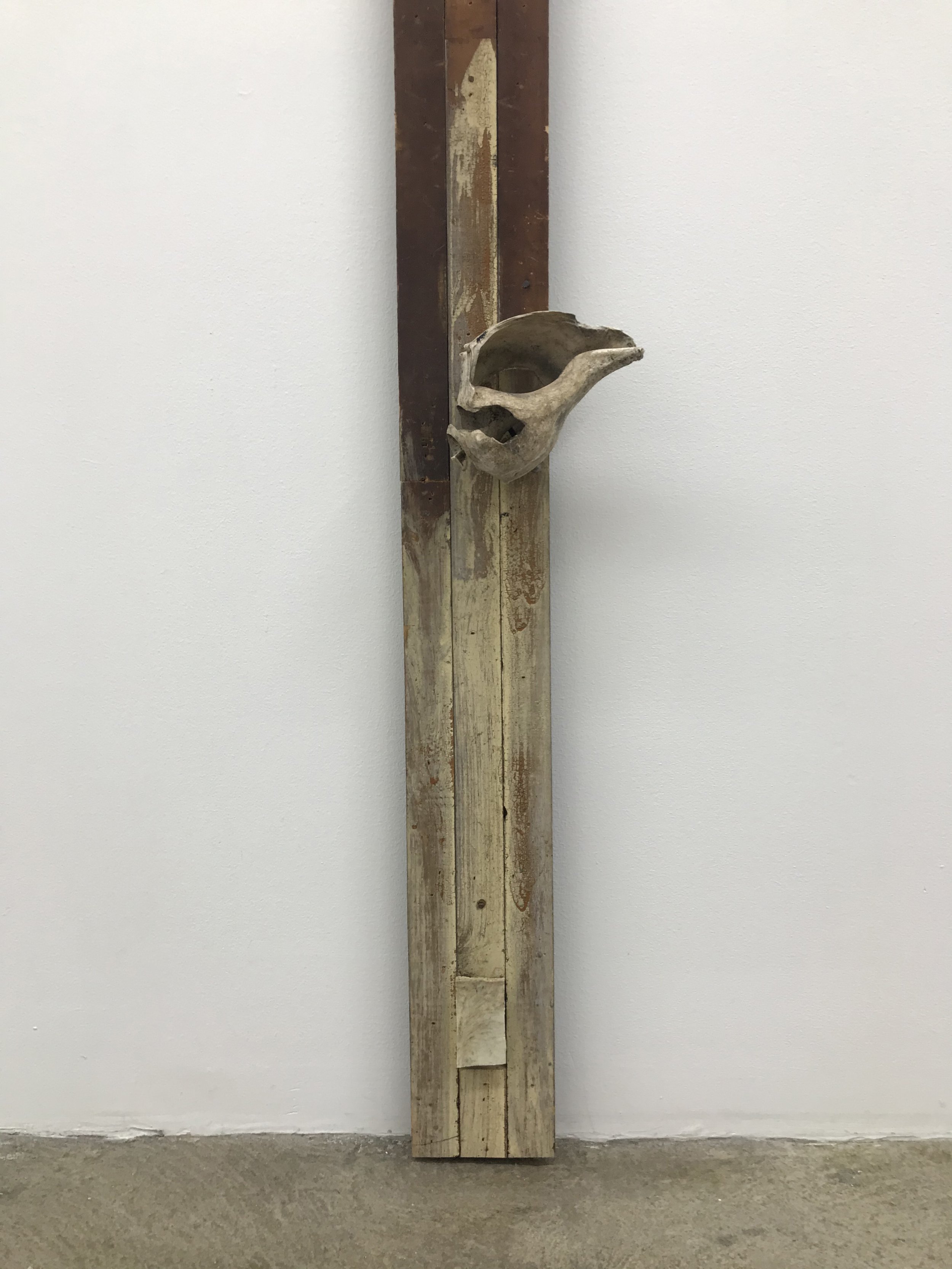  Jonathan Mildenberg  Sweep , 2022 (detail) wood, shells, coral, bone, flocking 84 x 6.75 x 3.5 inches (213 x 17 x 9 cm)  (JM16) 