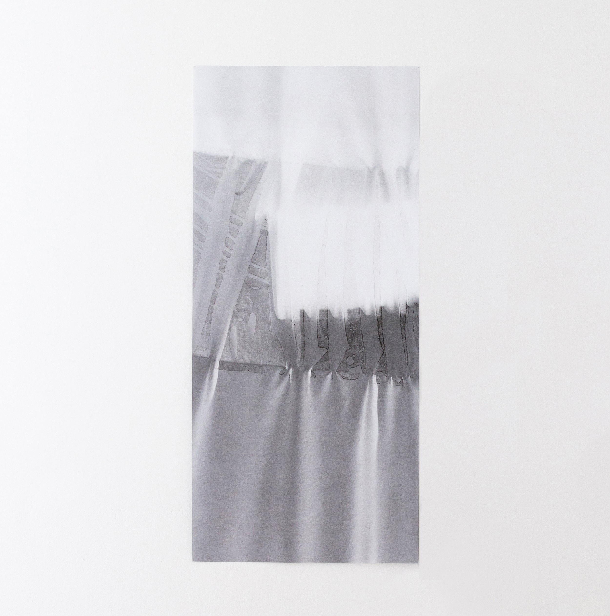  Martine Flor  Echoes From a Scene Il , 2021 spatial photograms on polyester, text 59 x 27 inches (150 x 68 cm) MF2 