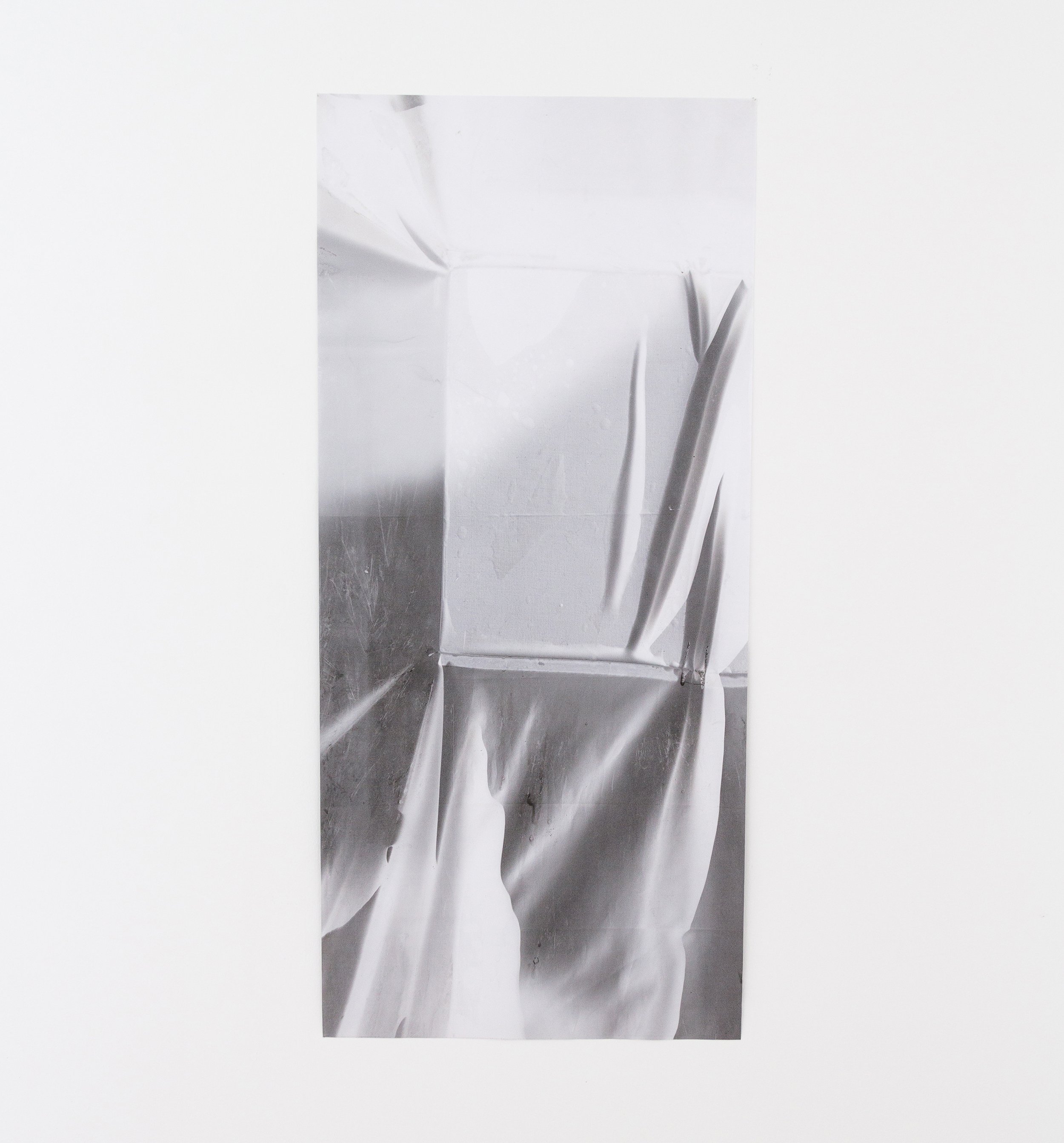  Martine Flor  Echoes From a Scene IlI , 2021 spatial photograms on polyester, text 59 x 27 inches (150 x 68 cm) MF3 