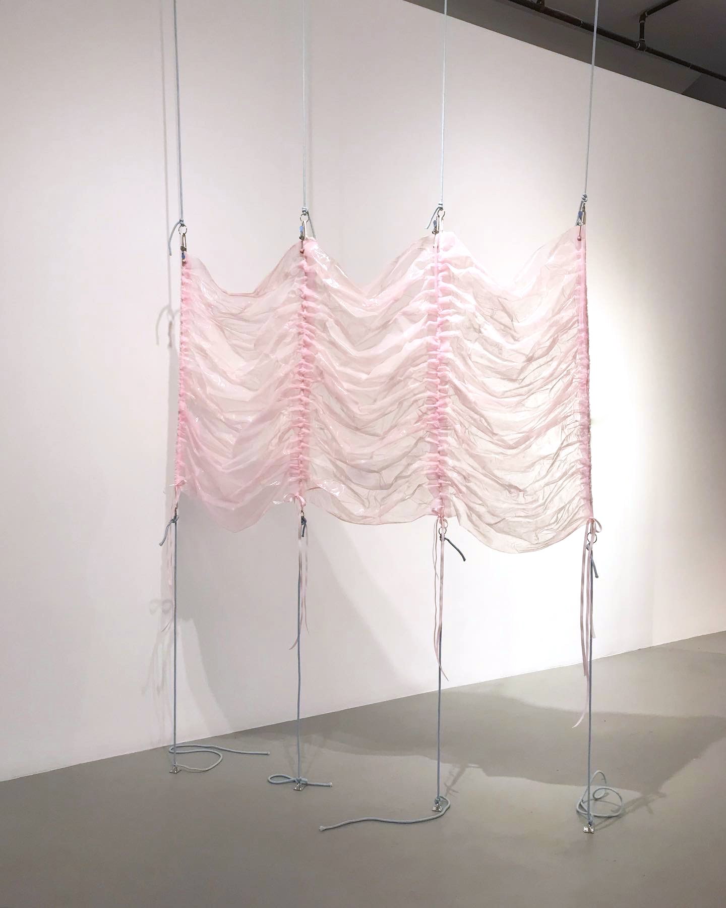  Karinne Smith  Untitled , 2022  collagen, silicone, ribbon, rope 38 x 57 inches (97 x 145 cm) KS23 