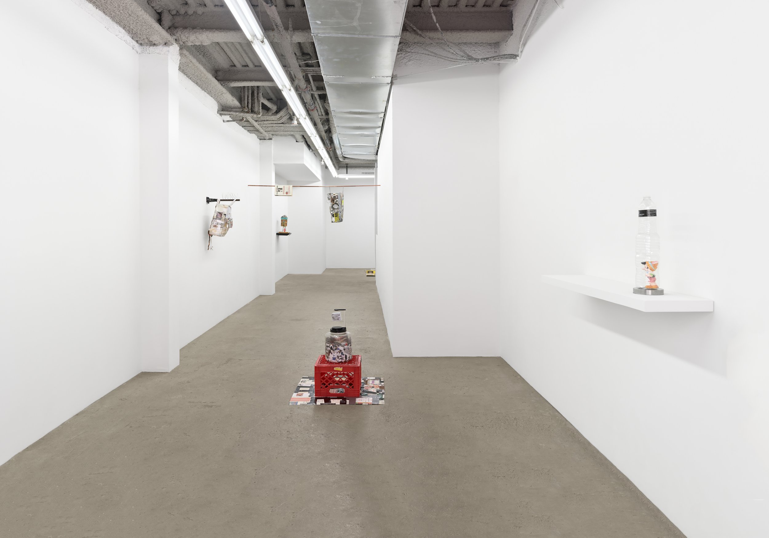  Elzie Williams III  Politics As Usual  installation view 