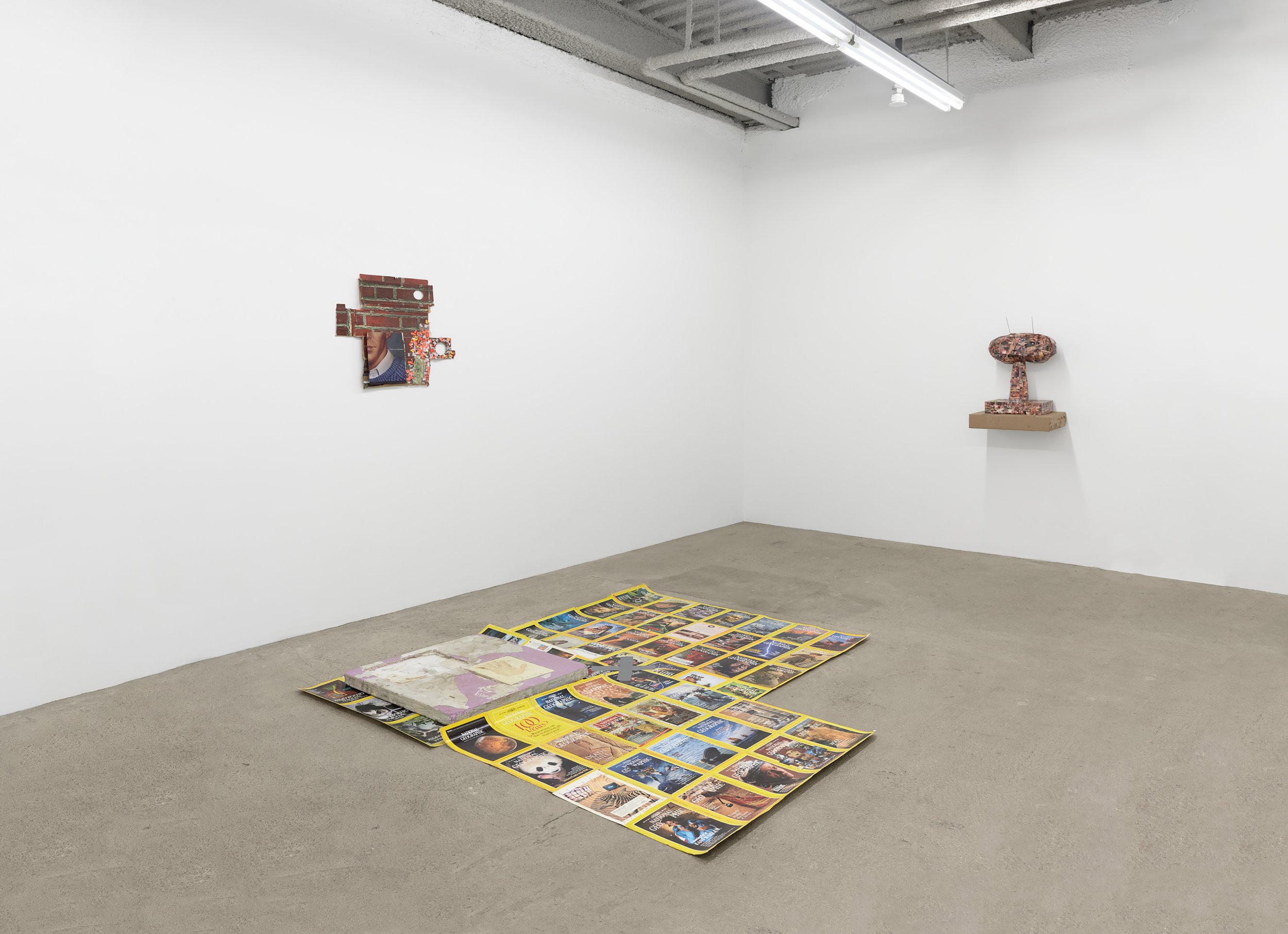  Elzie Williams III  Politics As Usual  installation view, rear gallery 