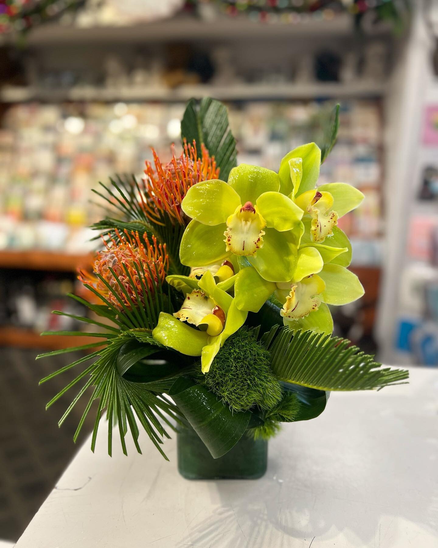 The MOST gorgeous cymbidium orchids and pincushion protea! 😍
.
#orchids #protea #minneapolisflorist #flowersofinstagram #botanicalart #botanicalartist #flowersofinstagram #instaflowers #flowershop #tropicalflowers #mpls