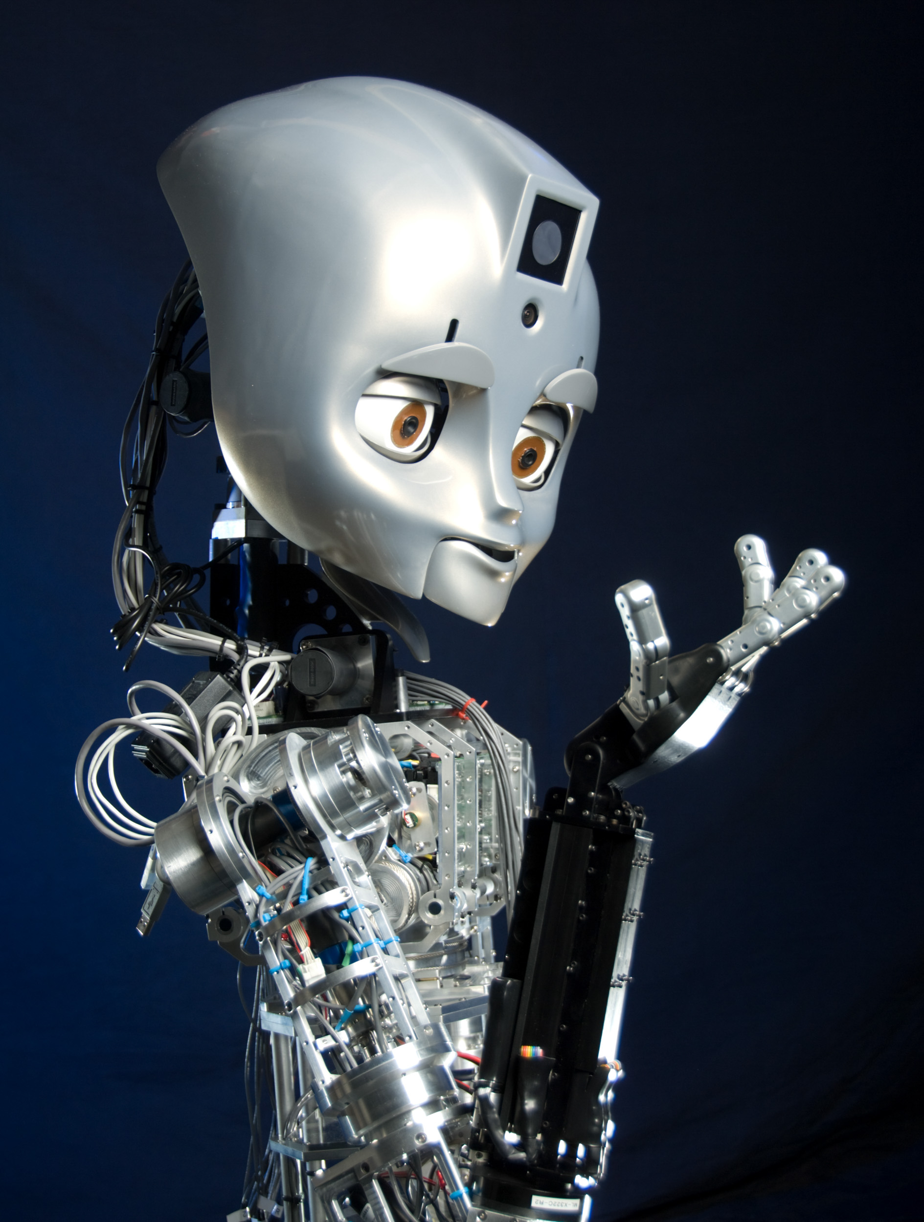 Maddox is a MDS (mobile, dexterous, social) robot from the MIT Media Lab.