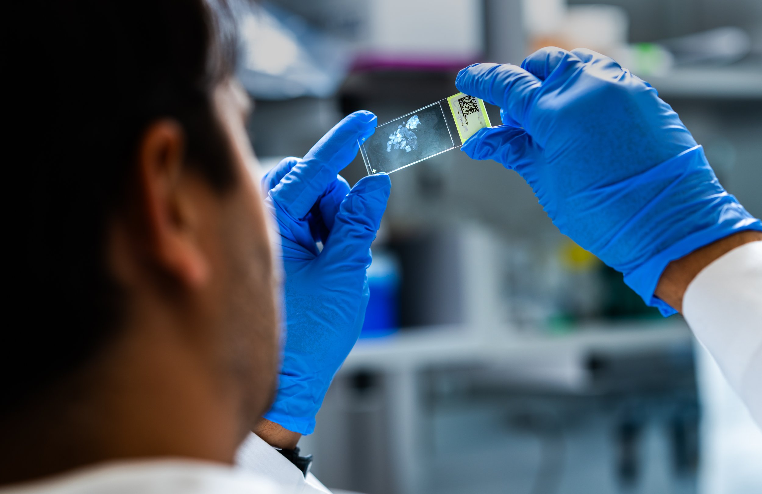  Researcher looking at a histological section at Harvard Medical School 