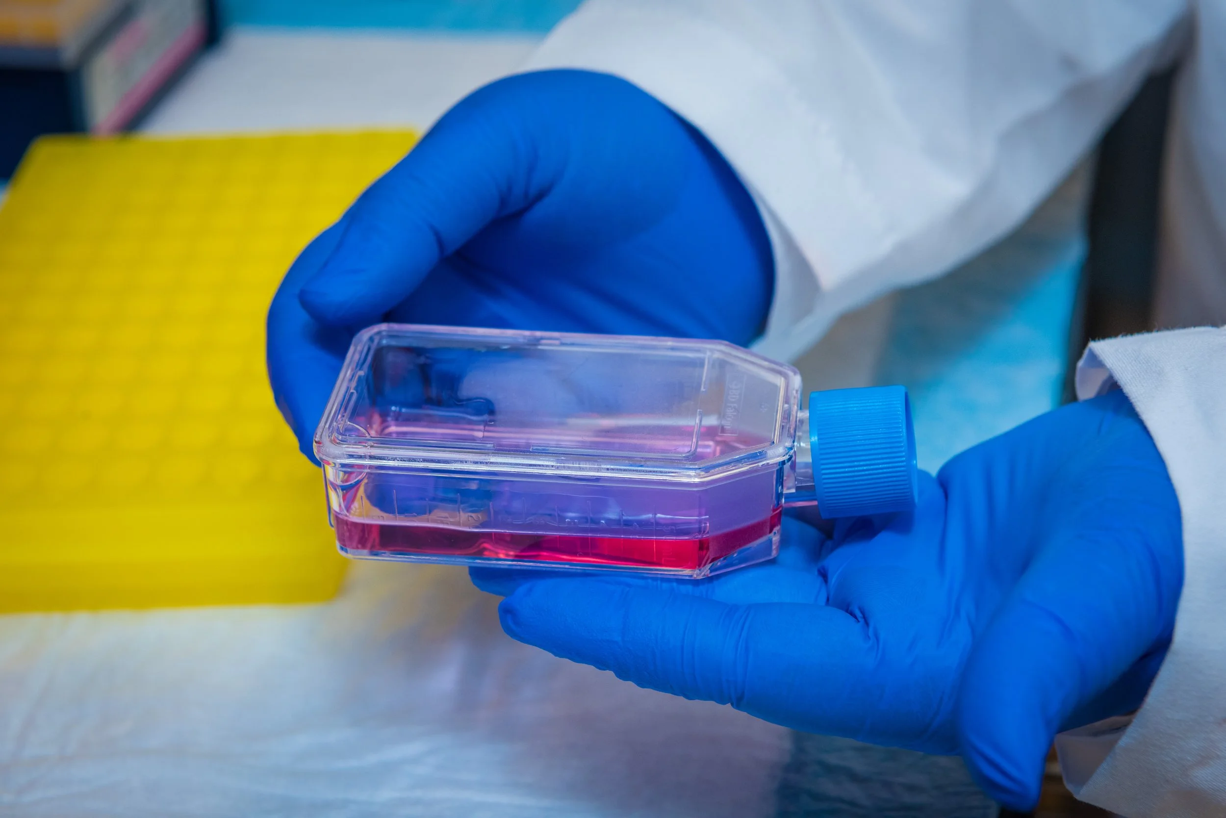 Growing Cancer Cells