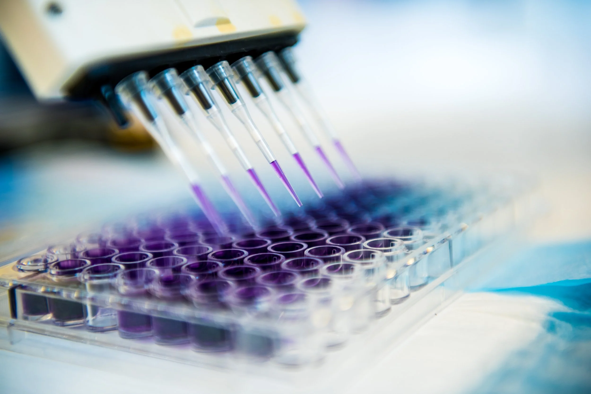 Multichannel Pipette