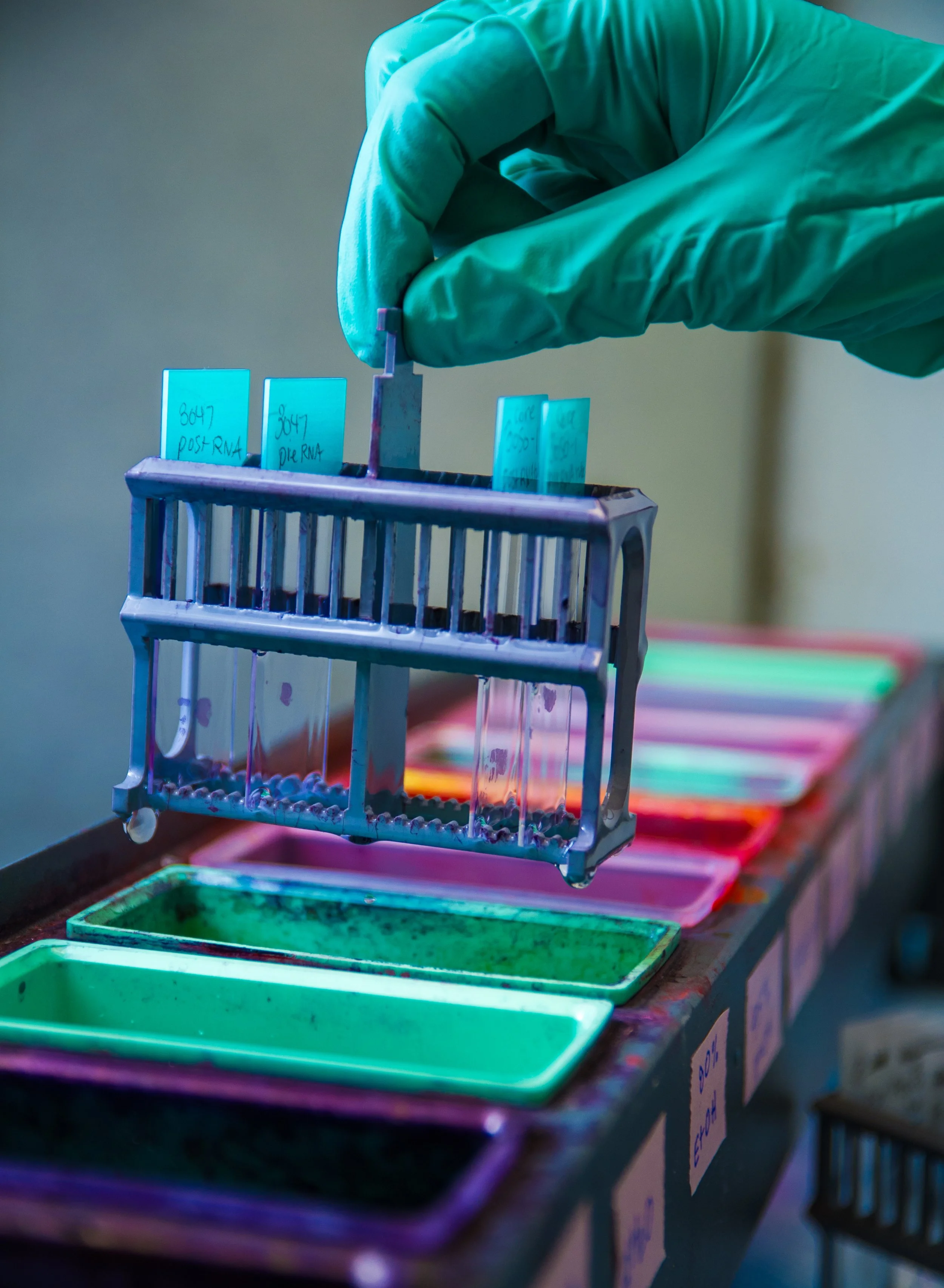 Pathology Lab