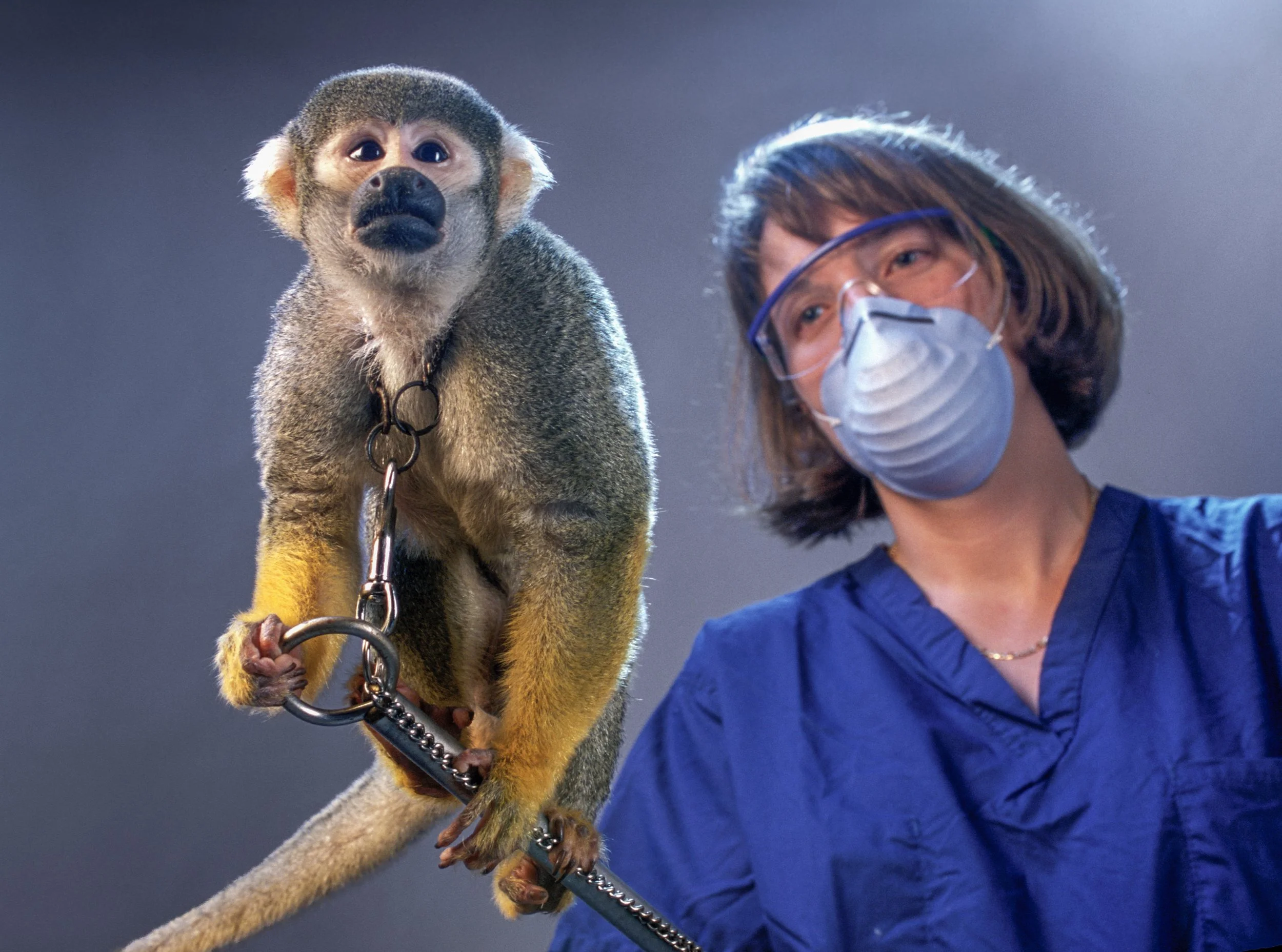 Primate Research