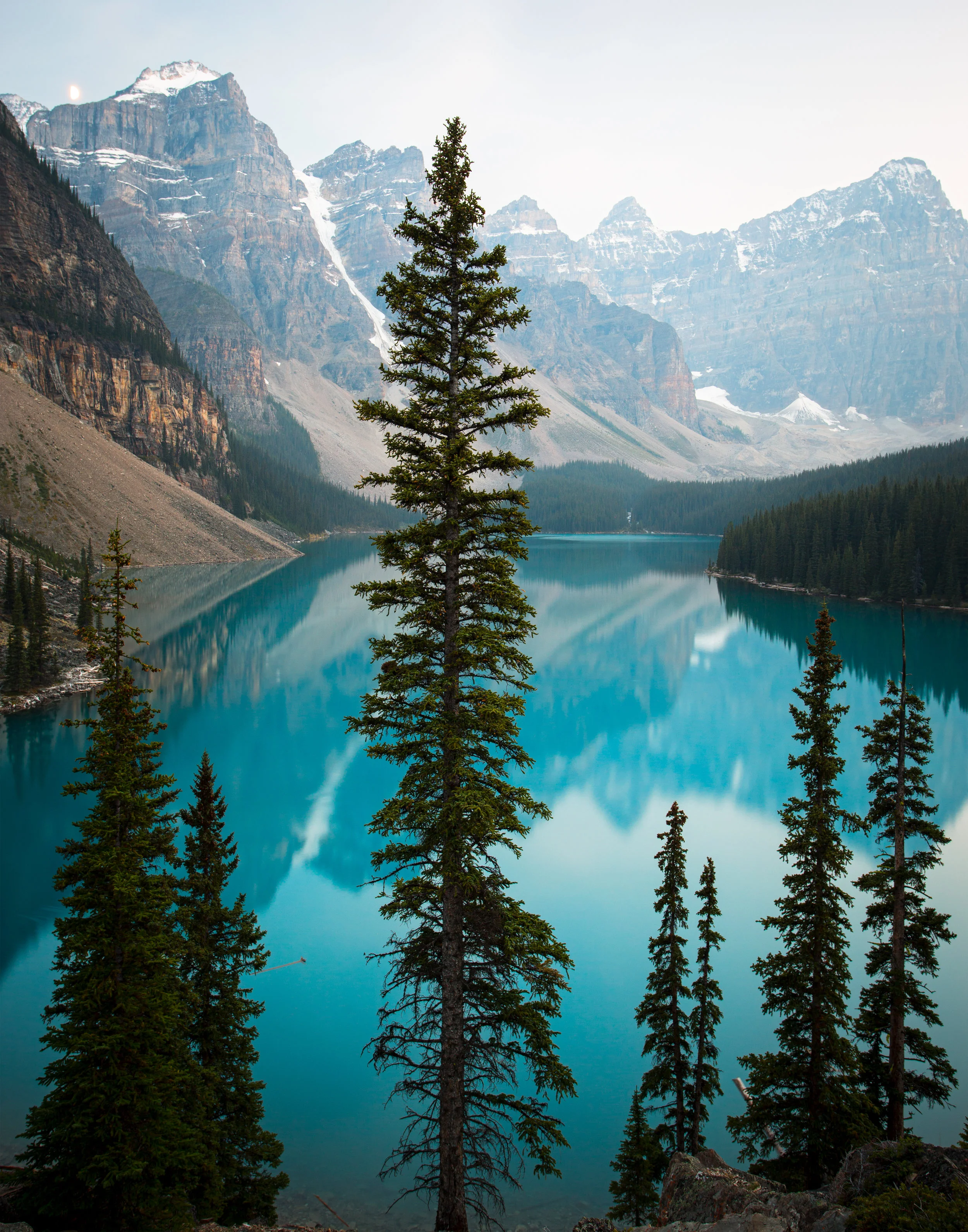 Moraine Pines_11x14 .jpg