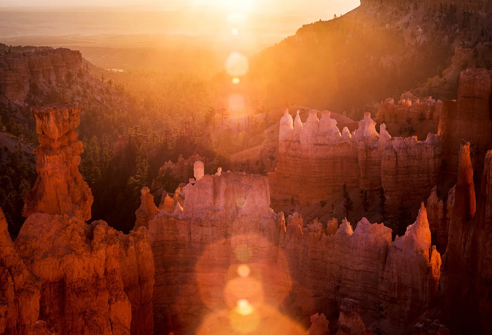 Bryce-Sunrise.jpg