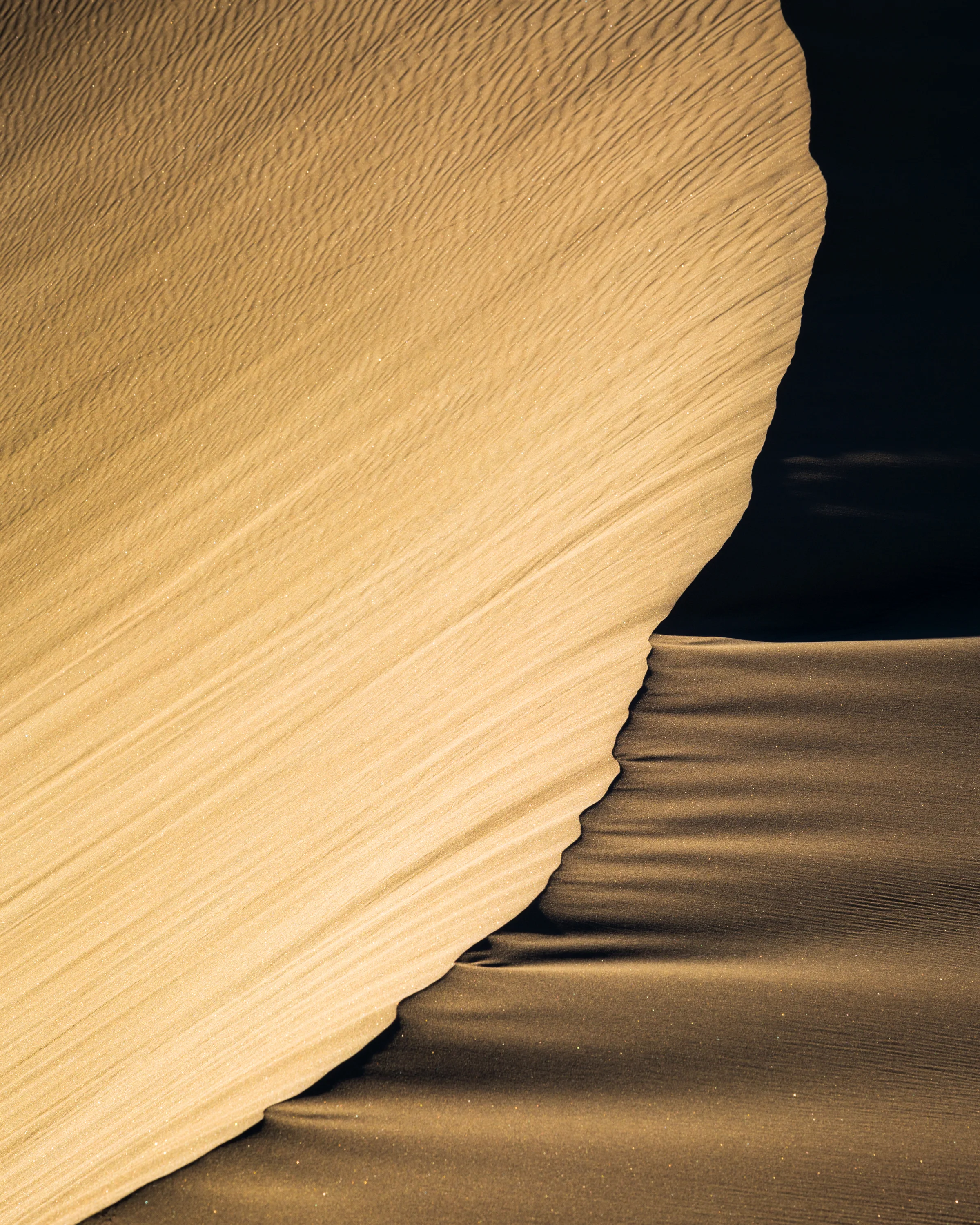 Mesquite Light_8x10.jpg
